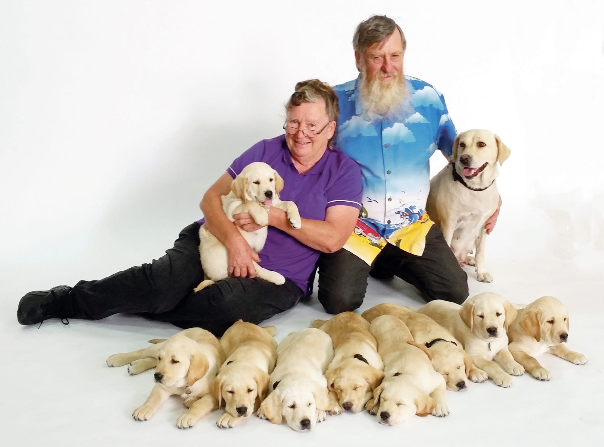 Fears dog baiting on the rise after ex-guide dog dies in Mount Pleasant