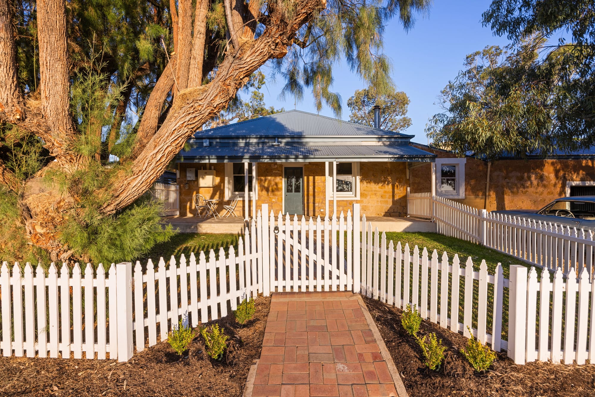 An old soul with a new glow