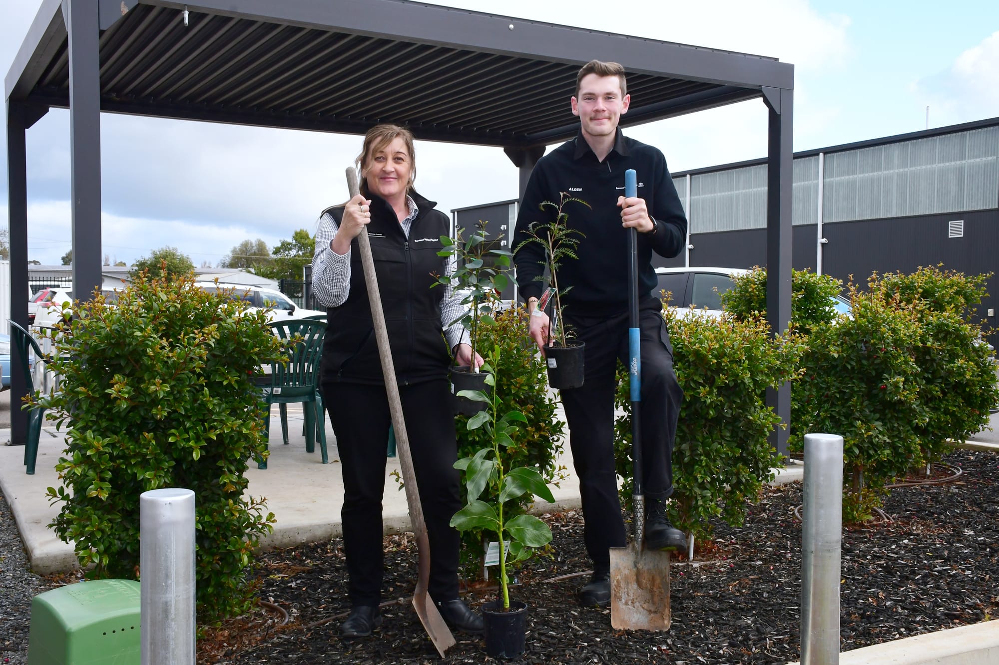 Toyota’s Tree Day Giveaway