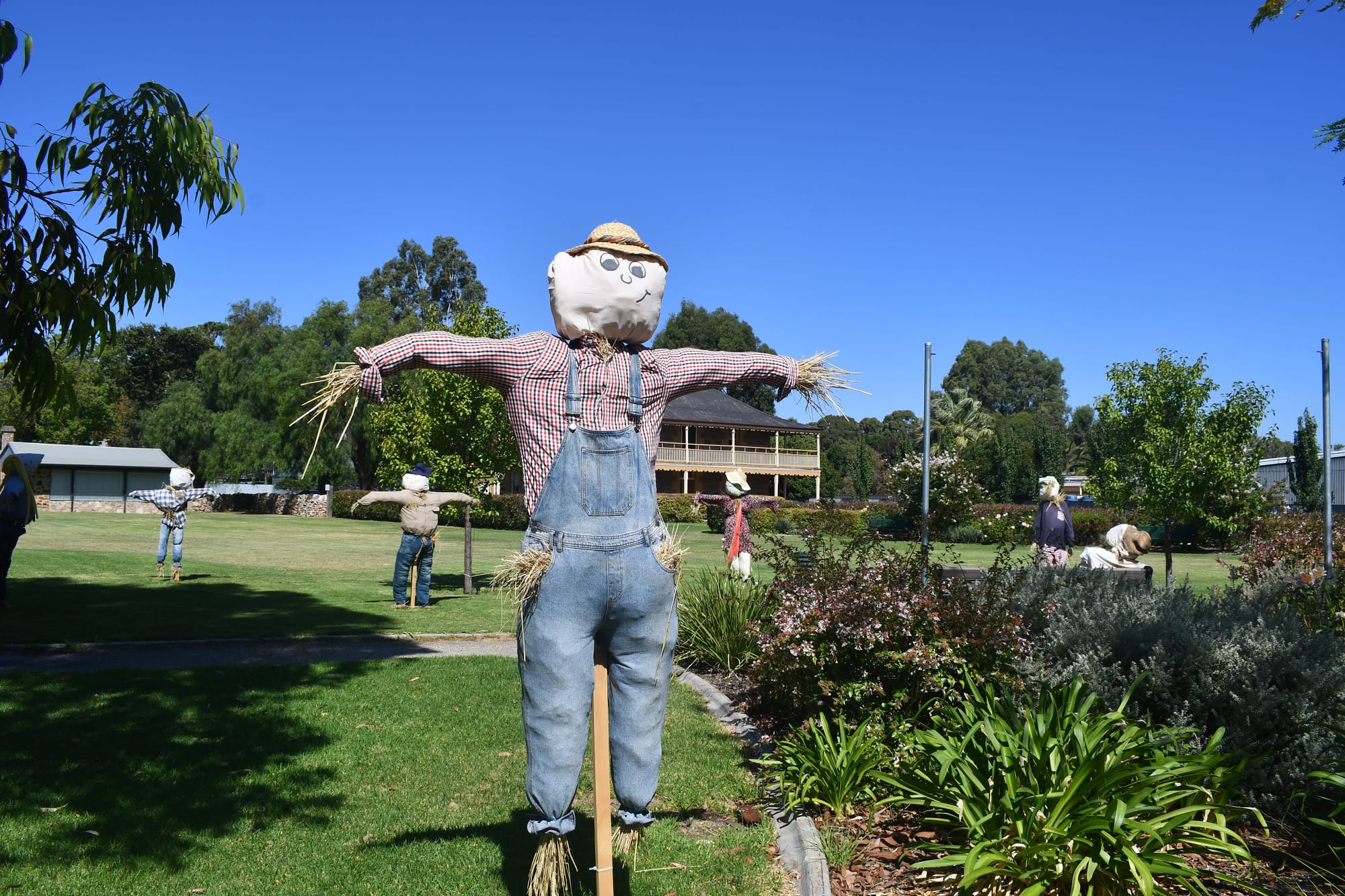 Prepare to Scare-crow