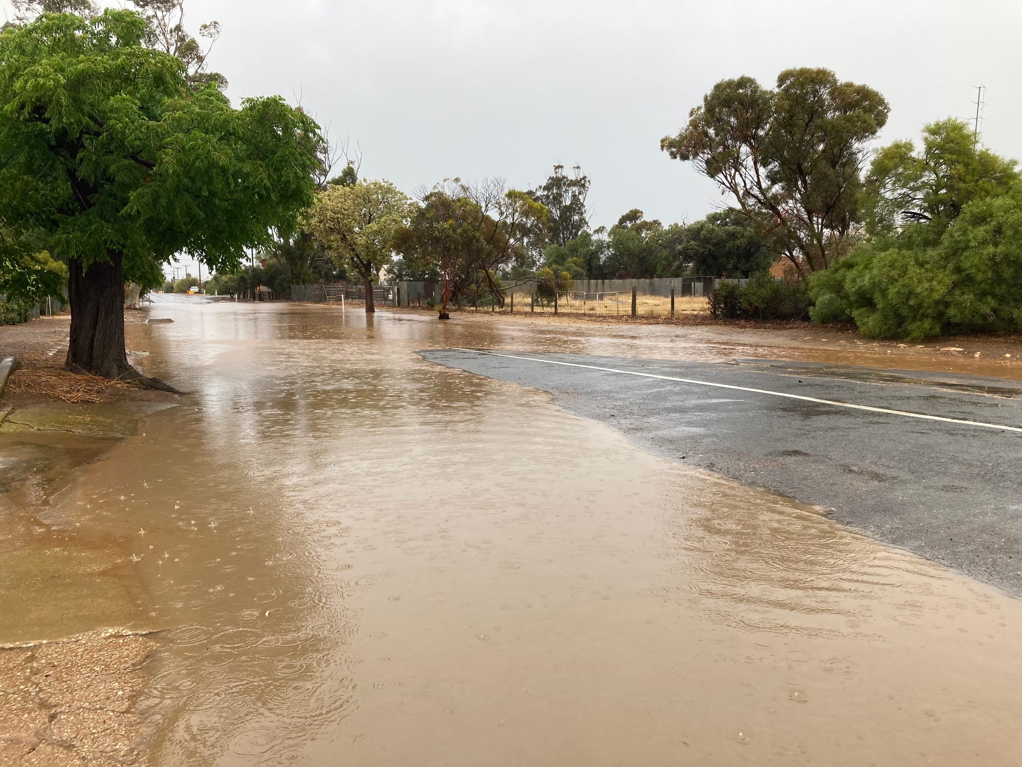 From fire to flood - 24 hours of wild weather in the Barossa