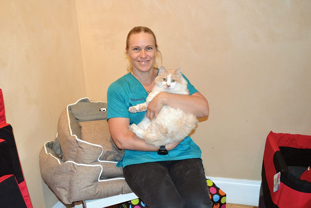 For Pet’s Sake & The Vet Clinic