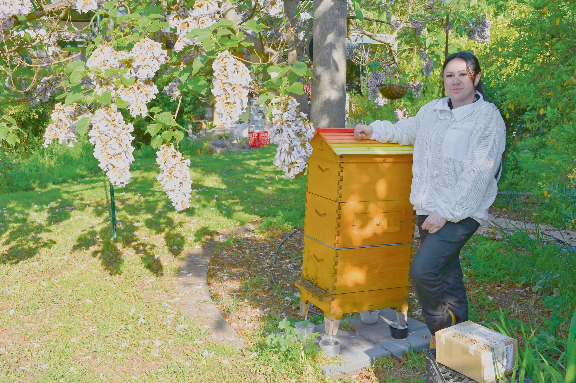 Bee aware: Swarm season is here