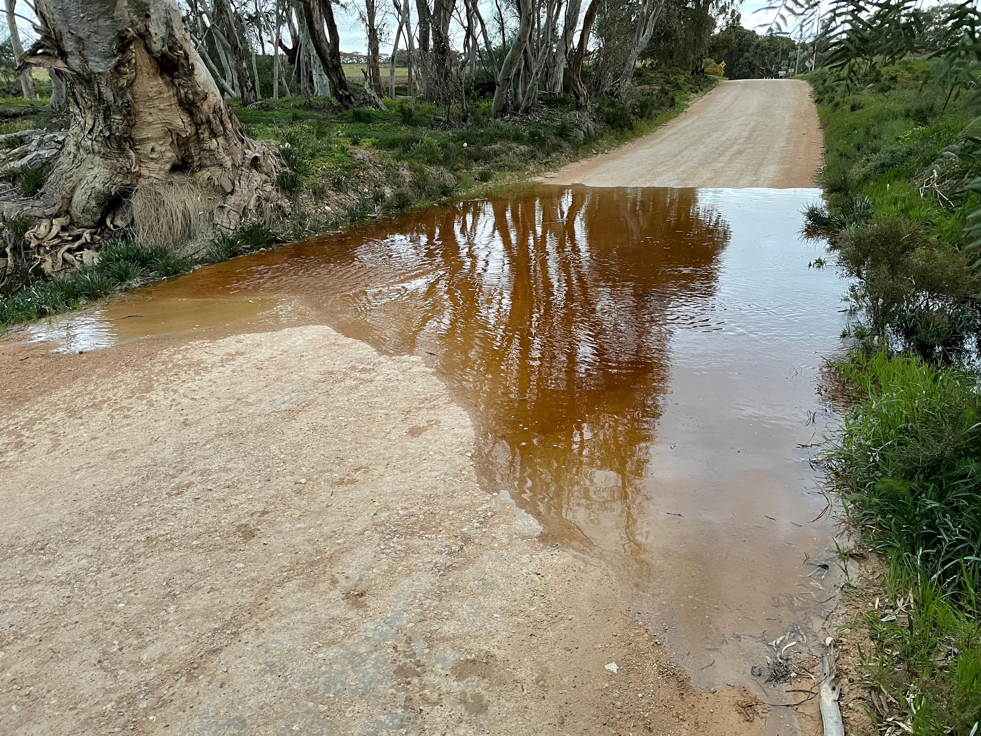 Marne Saunders health 'poor' says new report card