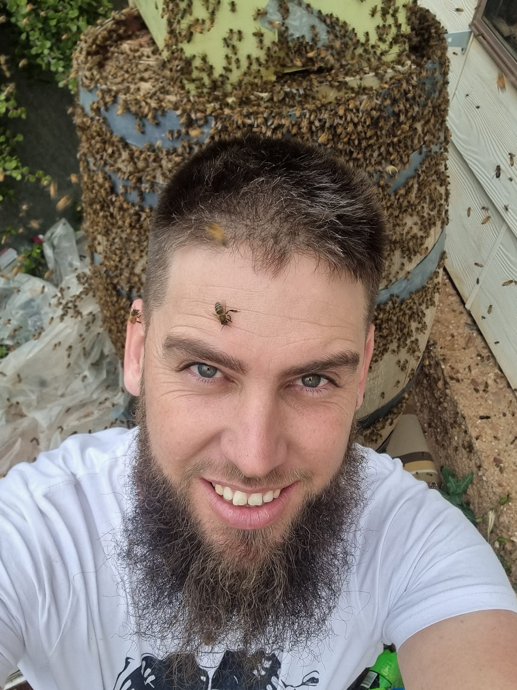 Farmer in Focus: Owen Lampe, 3 Boys Honey, Cambrai