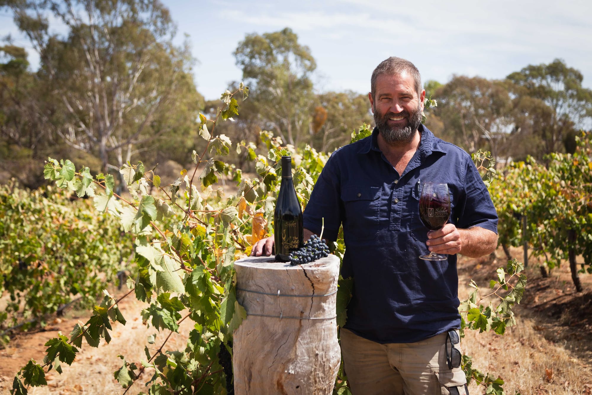 Schubert Estate shines with Shiraz