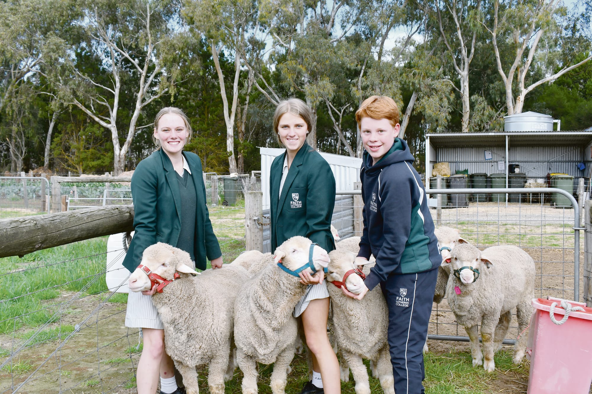 Faith Lutheran students put on a show at Sheep Expo