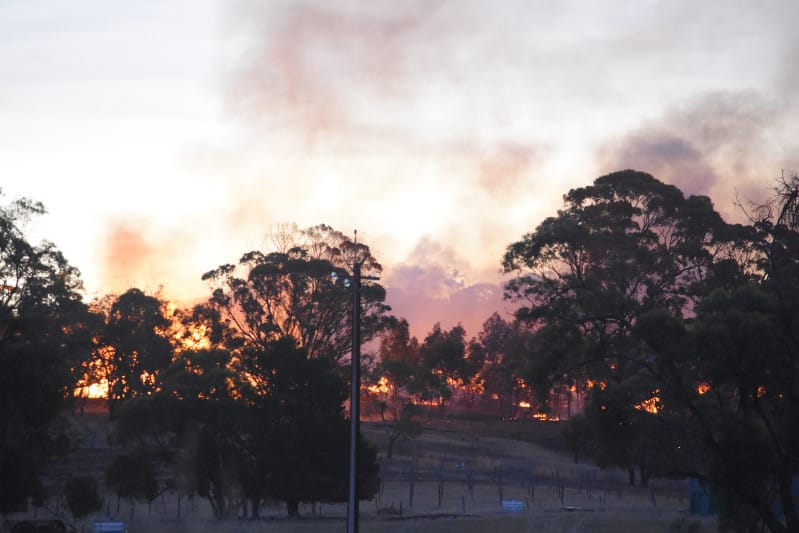 Pallets destroyed in Moppa fire