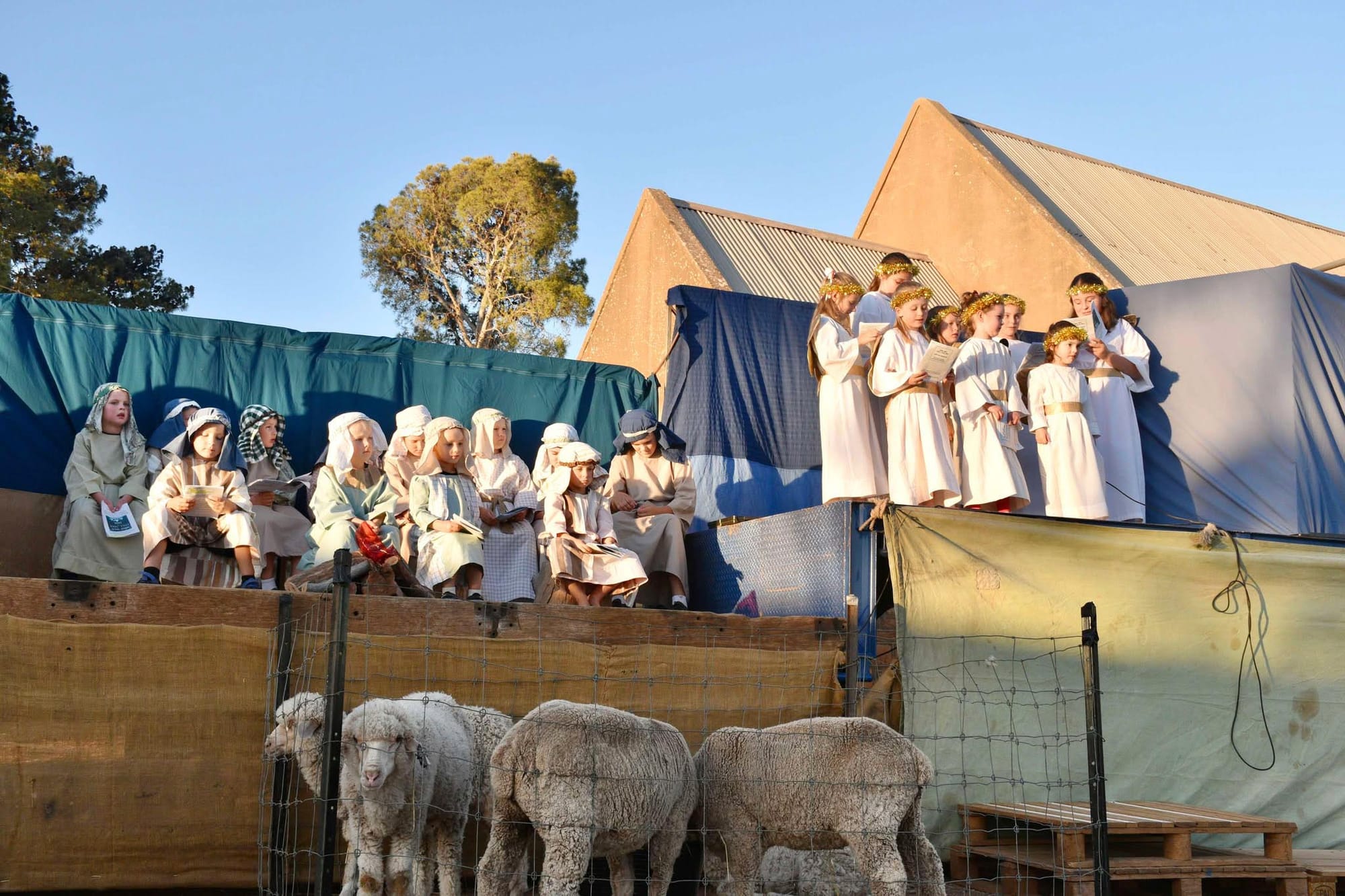 Shepherds, Mason Schutz, Thomas Doecke, Riley Zerner, Blake Zerner, Angus Schmidt (hidden back) Jack Jenke, Ted Schmidt, Fyfe Heidrich, Landen Heidrich, Eapen Heidrich, Spencer Schutz, Tyler Heidrich.Angels, Ellie Schmidt, Jessica Preston, Grace Schutz, Hannah Saegenschnitter, Maggie Schutz, Bethany Jenke, Chloe Farrow, Grace Jenke.