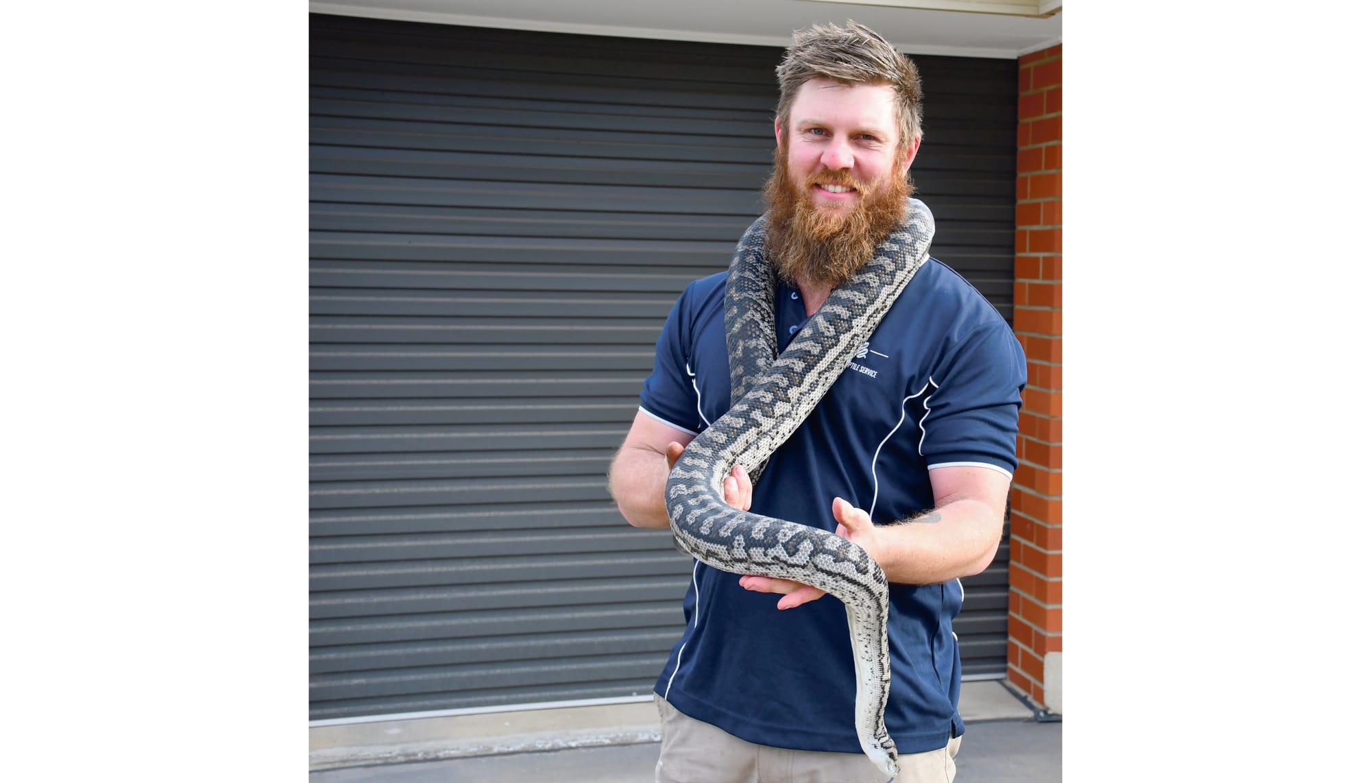 Snake season is here!