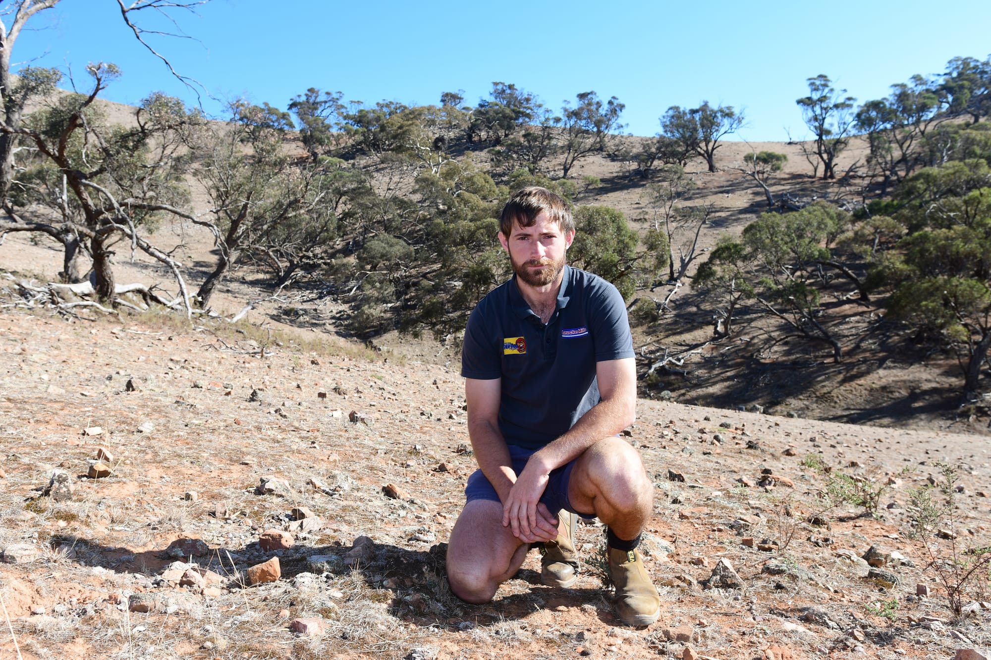 An eagle eye on turbine proposal