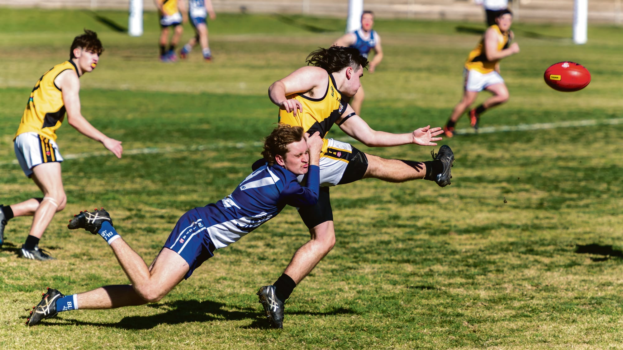 117-point demolition keeps Panther’s final hopes alive