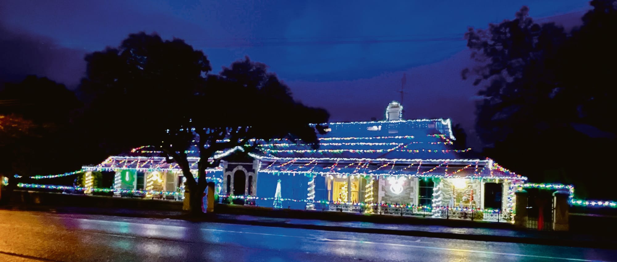 ‘Light the Night’ winner announced