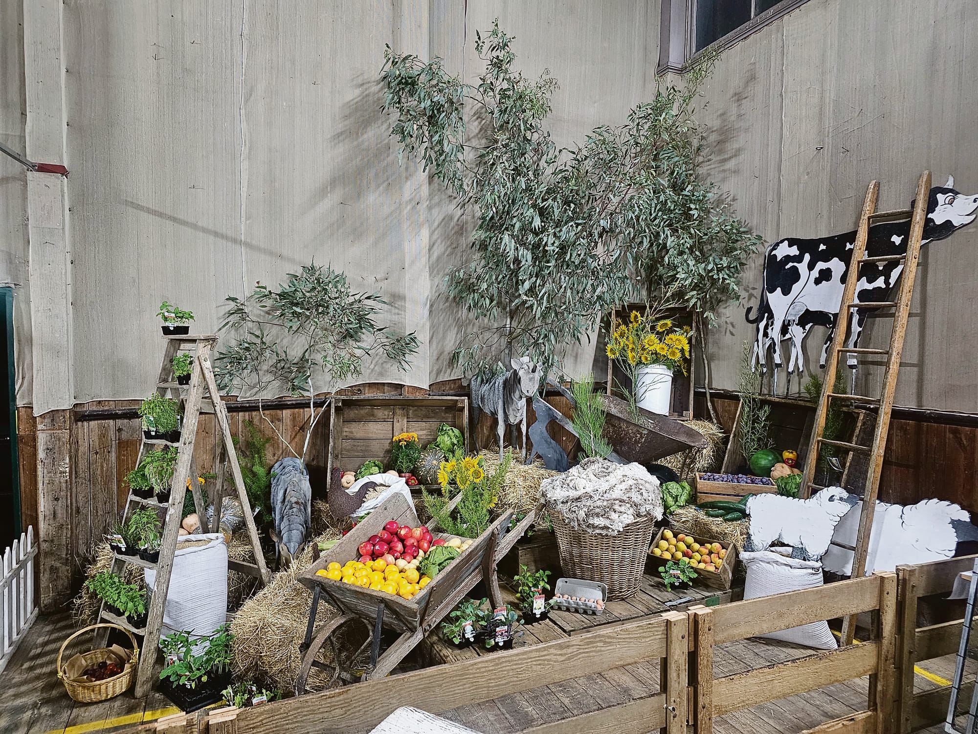 Eye catching display by the Angaston Agricultural Bureau