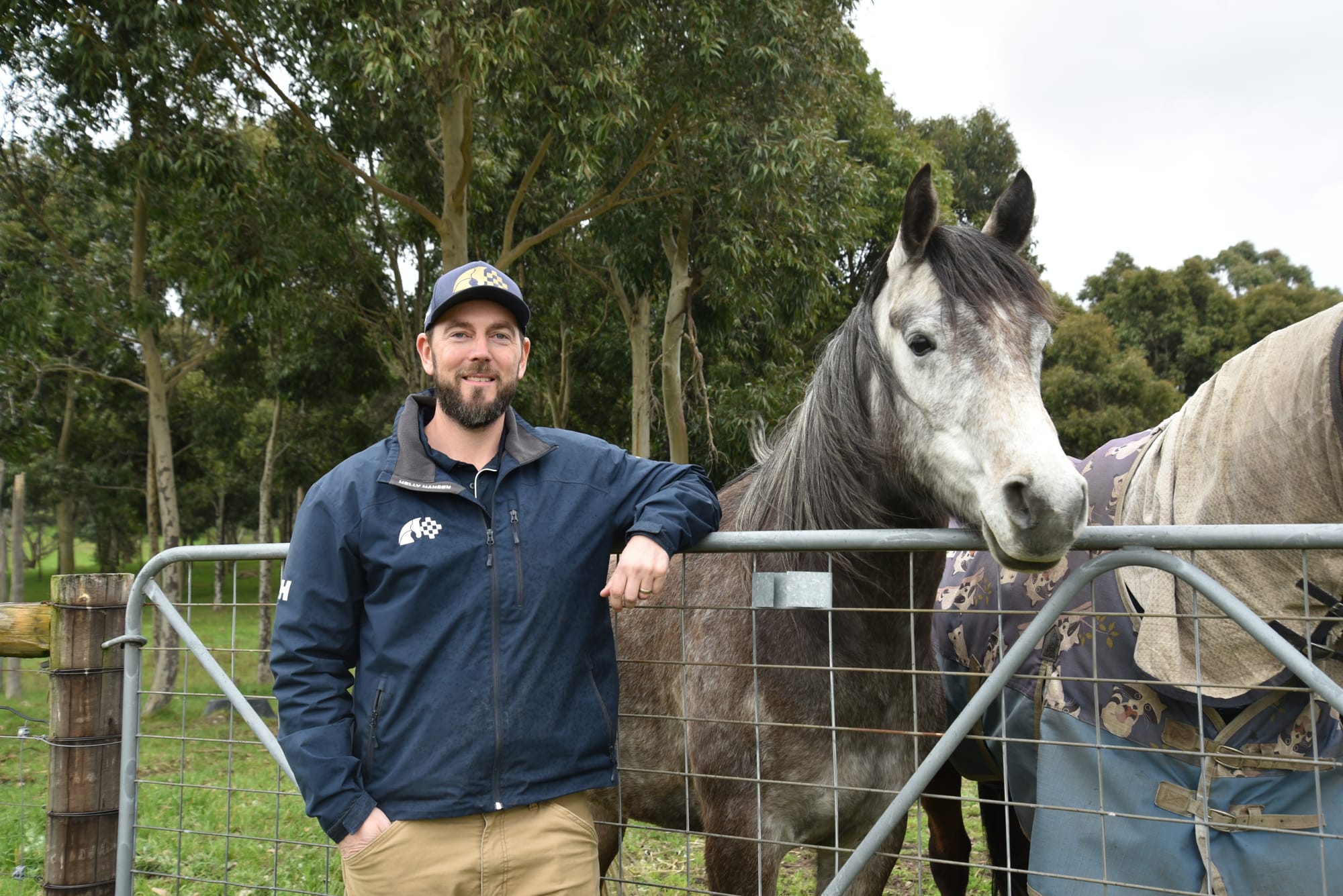 Neigh-day alert as equine vet uptake dwindles