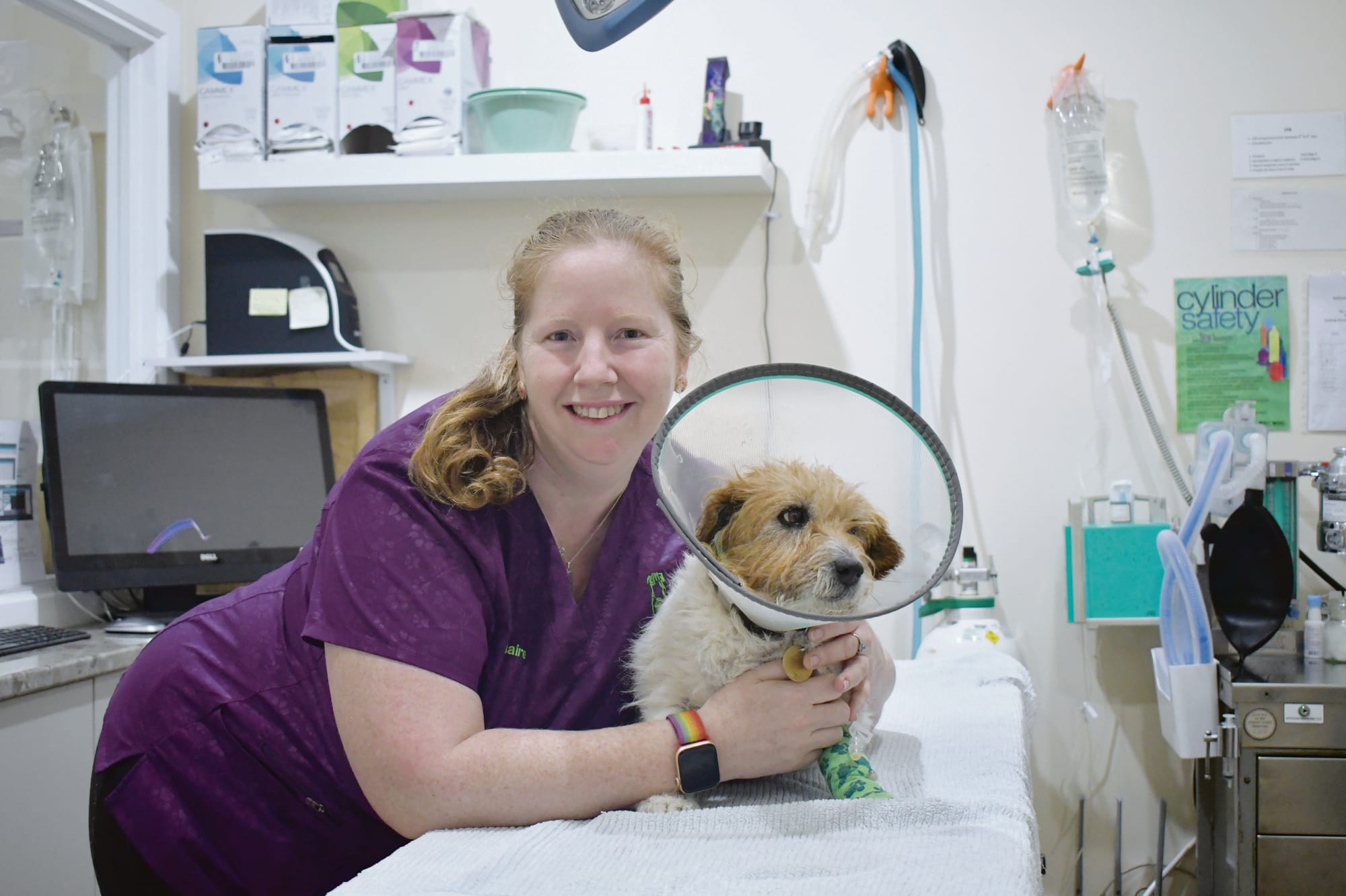 Modern veterinary legislation set to benefit animal owners across SA