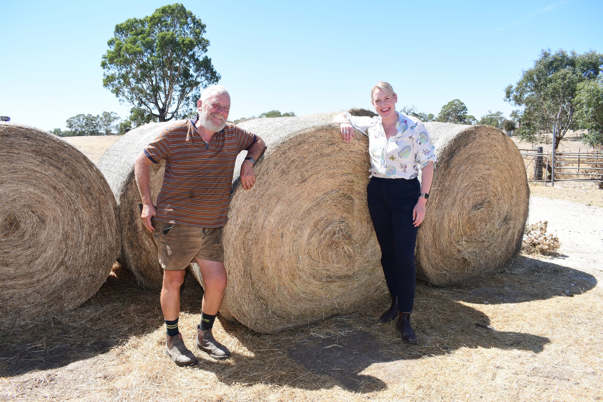 Hay a lifeline for struggling industry
