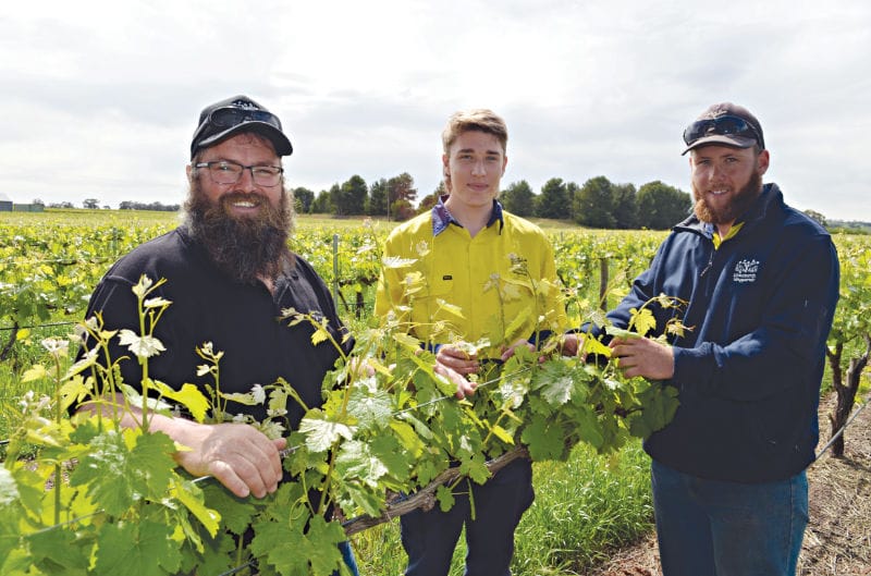 Training the next generation