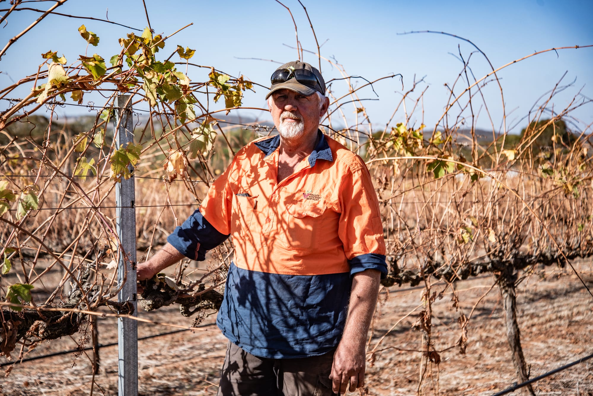 Peter's steeling himself for the long haul