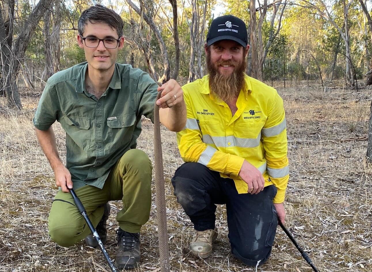 Barossa snakes as stars