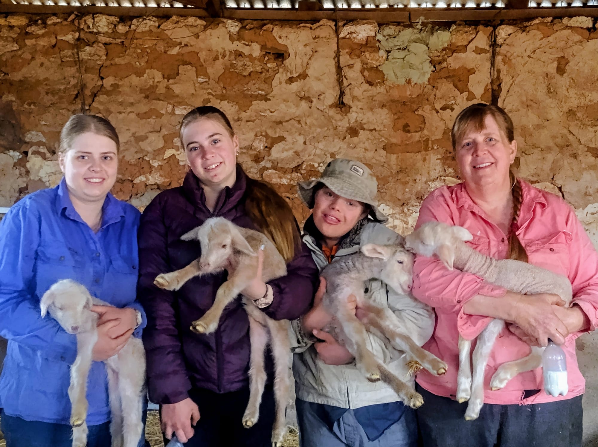 Lamb 'orphanage' a family affair