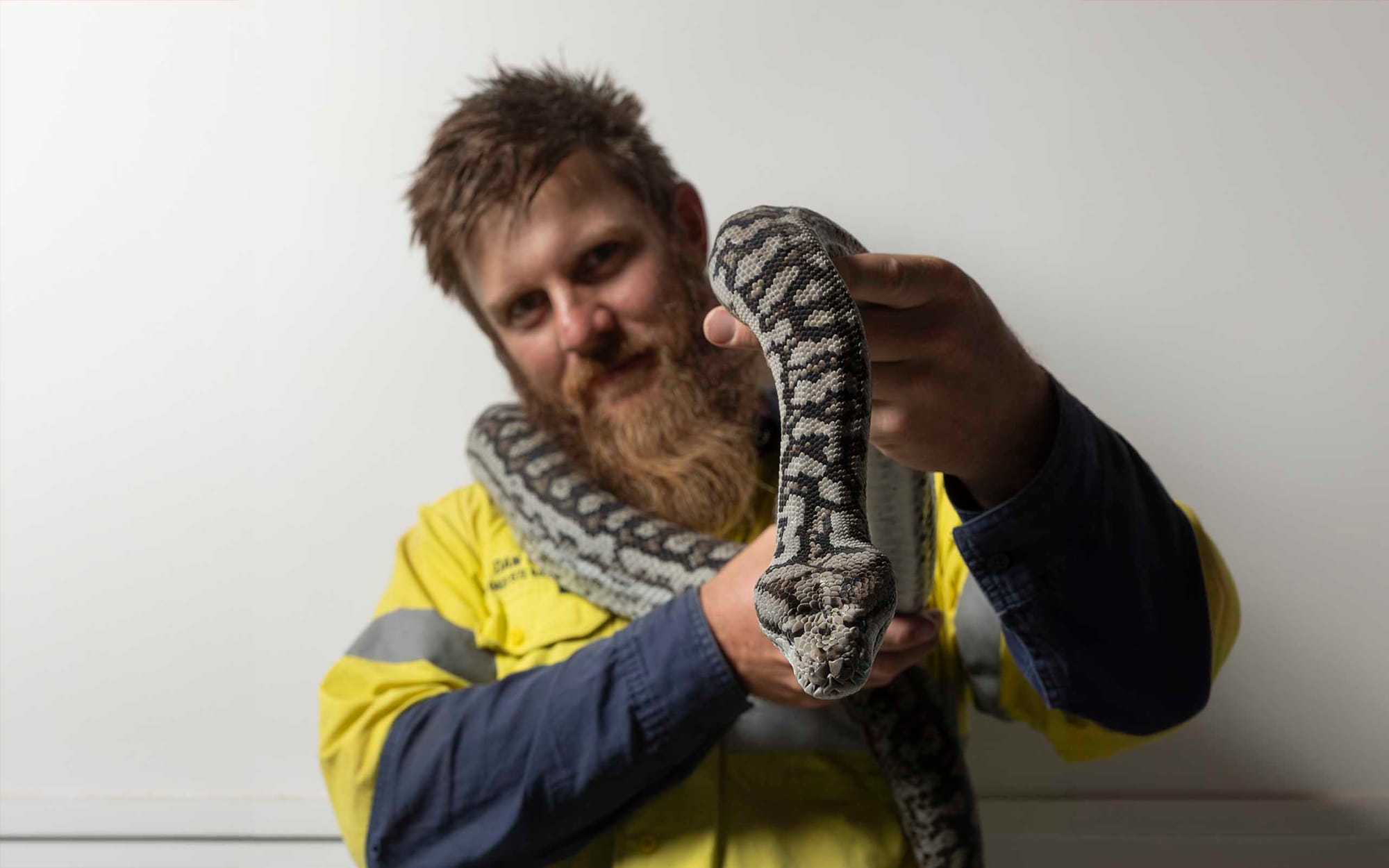 Cold blooded compassion