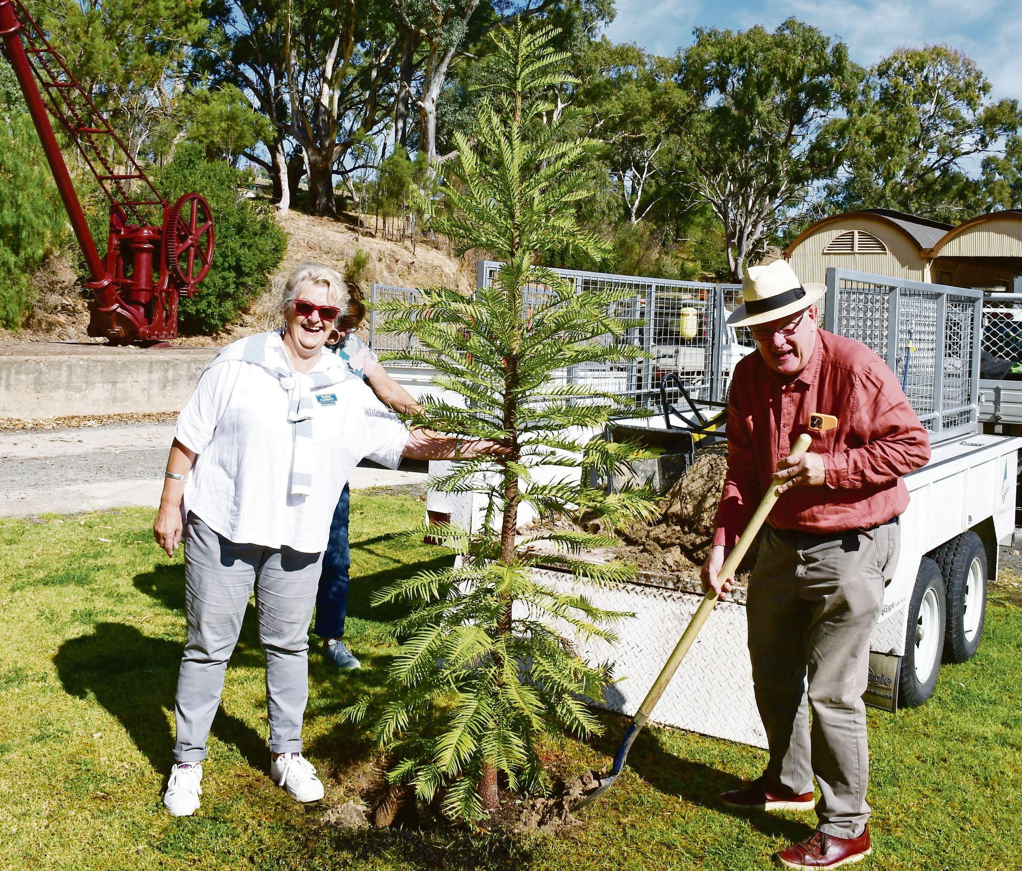 Majestic Wollemi Pine planted in local park to honour Queen Elizabeth