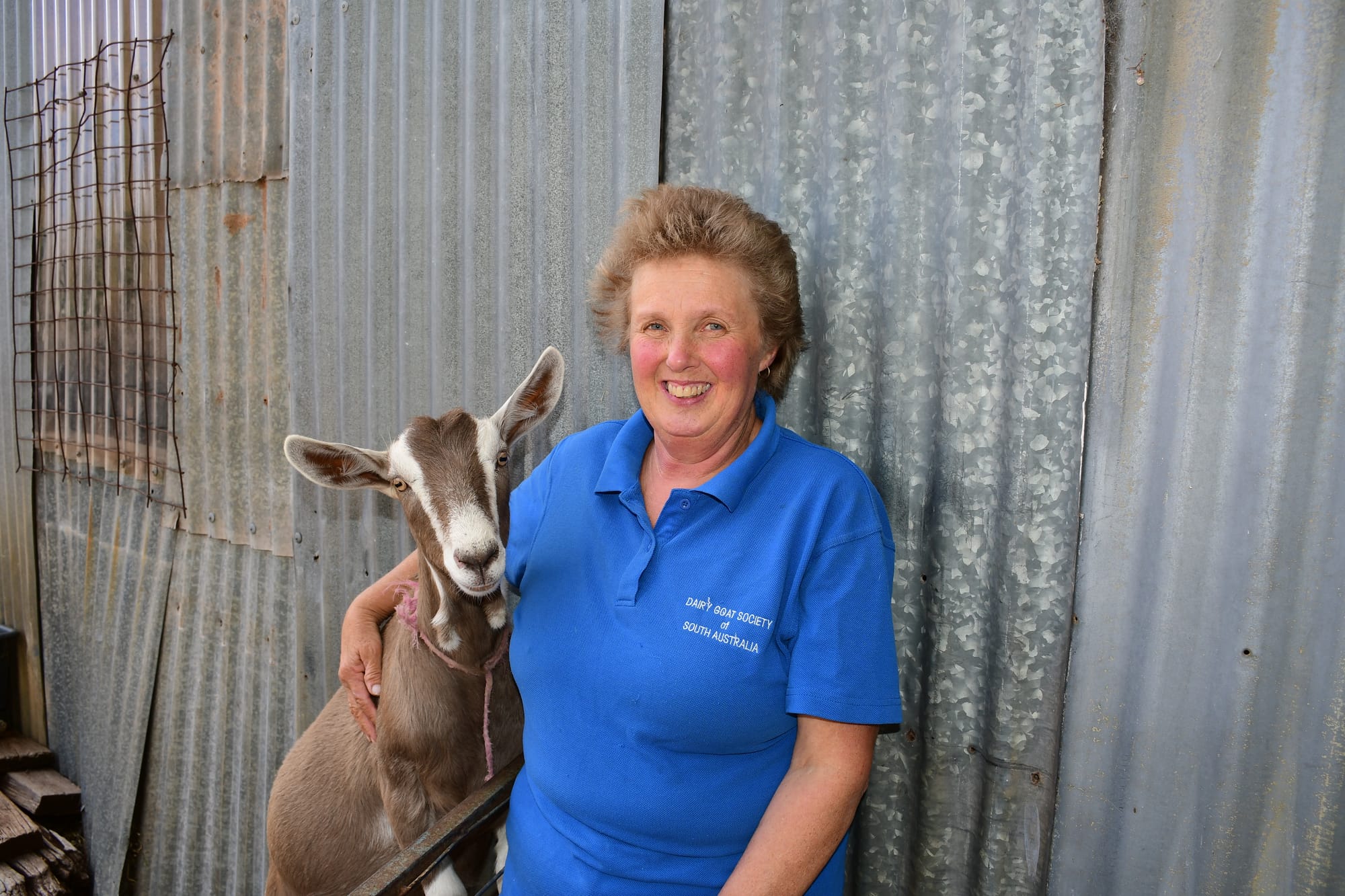 Milking it – a packed programme for Tanunda Show