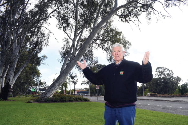 The leaning tree of Nuri.