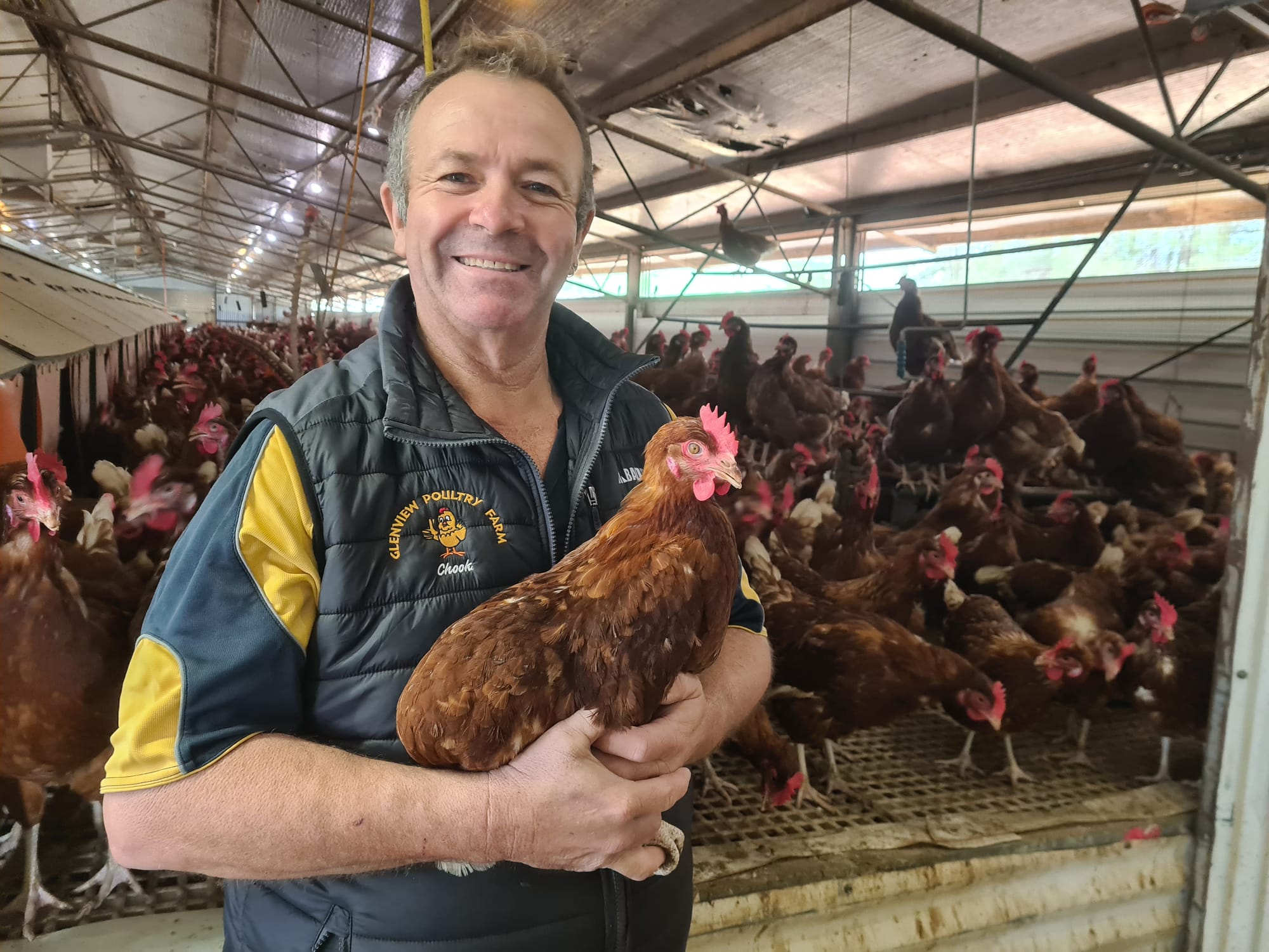 Egg-citing news, but will farmers re-coop their costs?