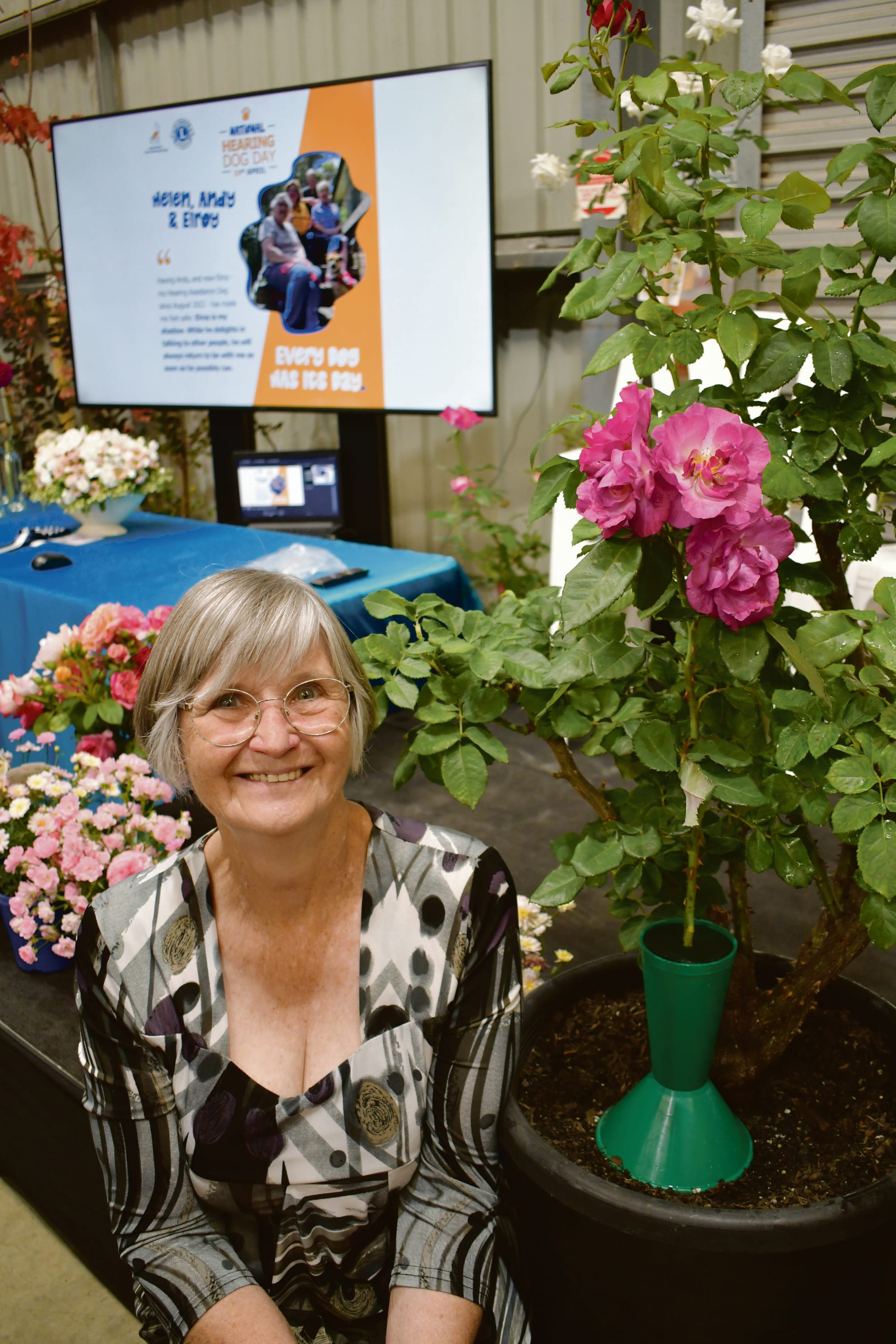Roses on show and Amber’s Gift