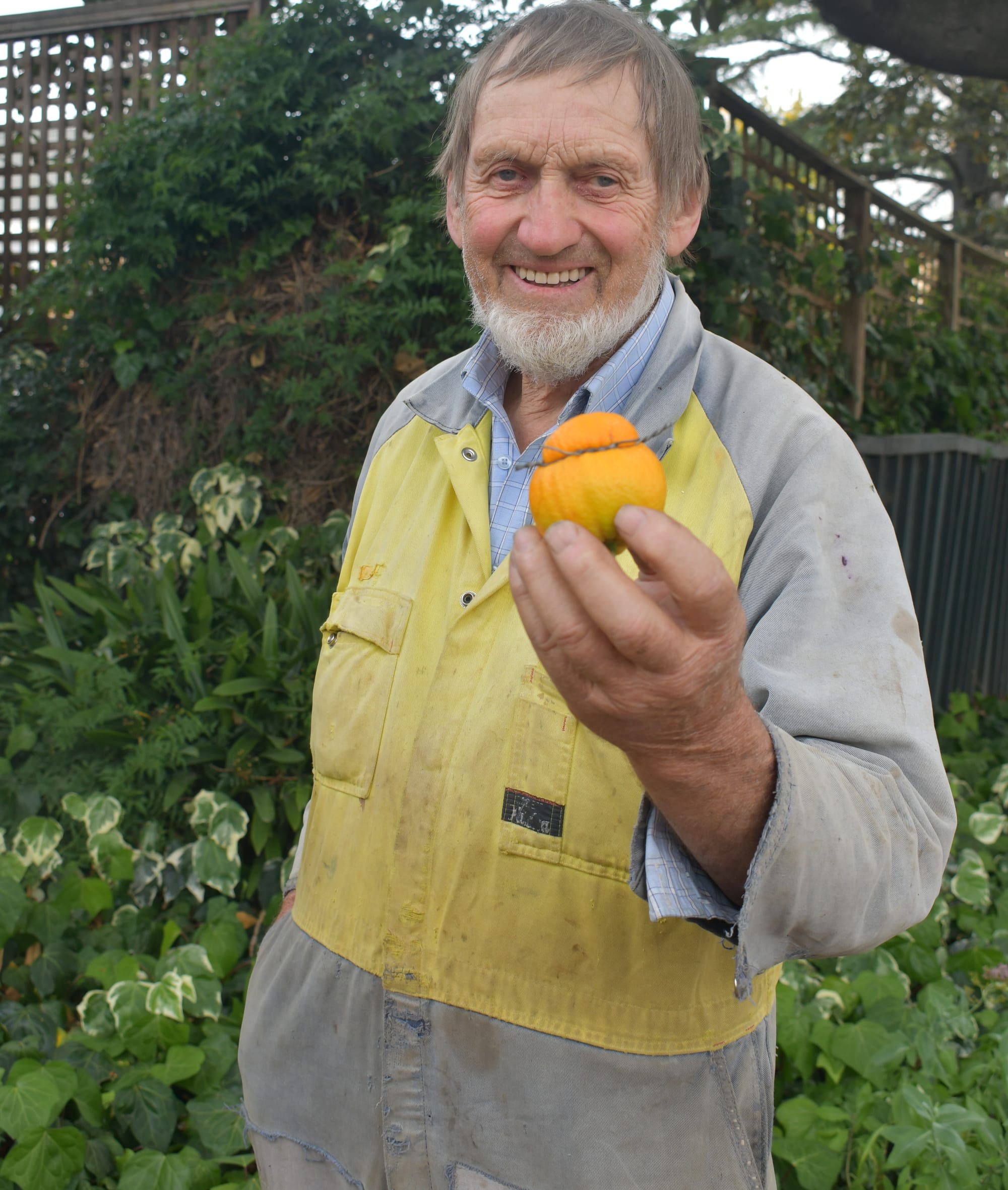 A juicy tale - the story of the wayward fruit