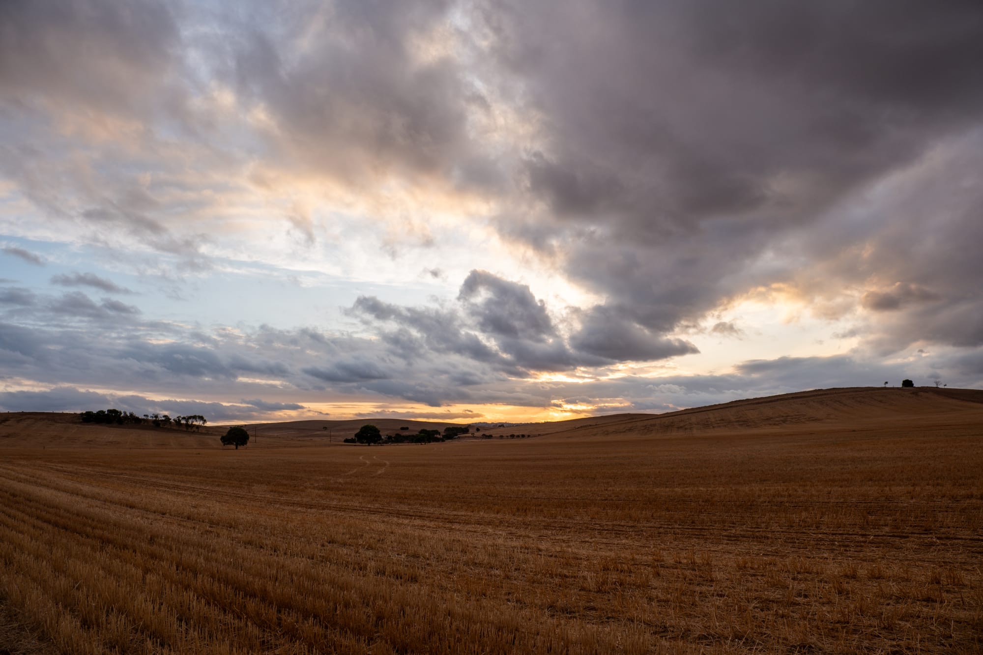 Resilience and perseverance make Eudunda
