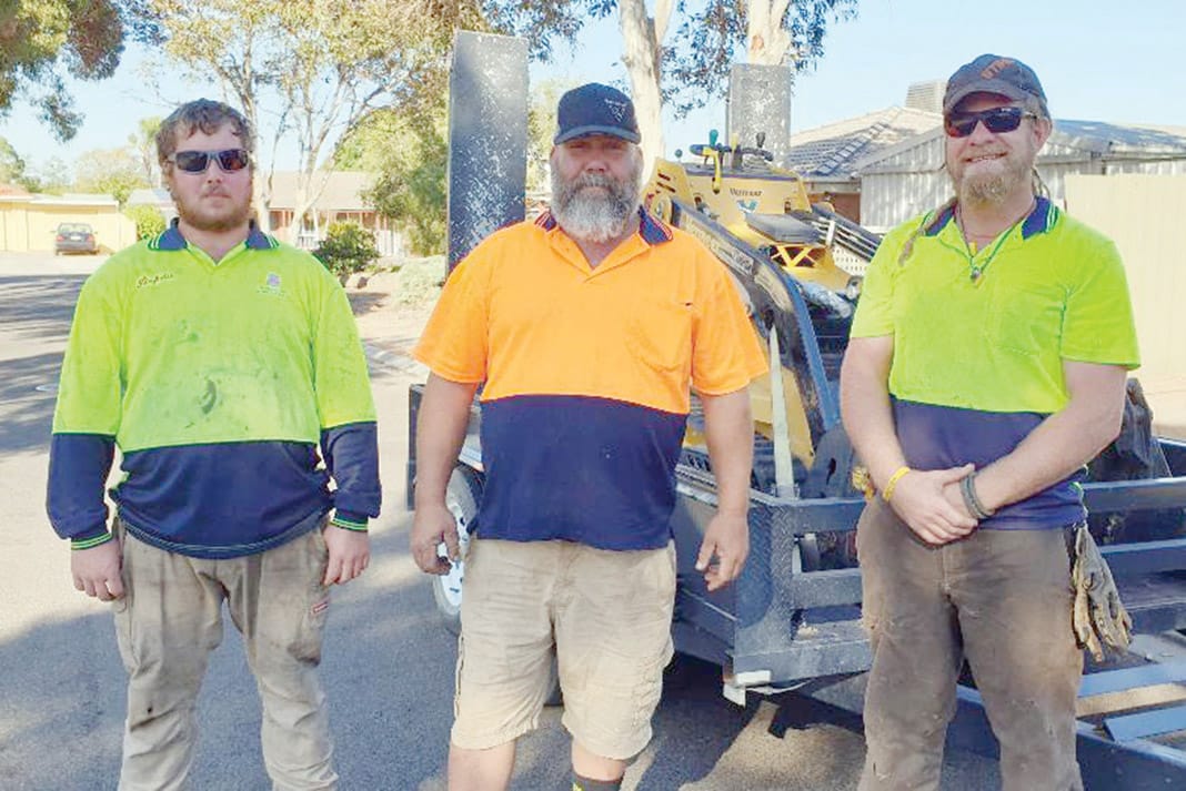 Anything and Everything Trees