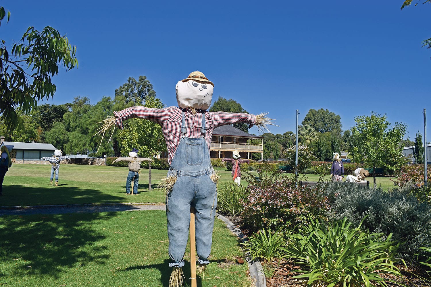 Stuff and nonsense on the Scarecrow Trail