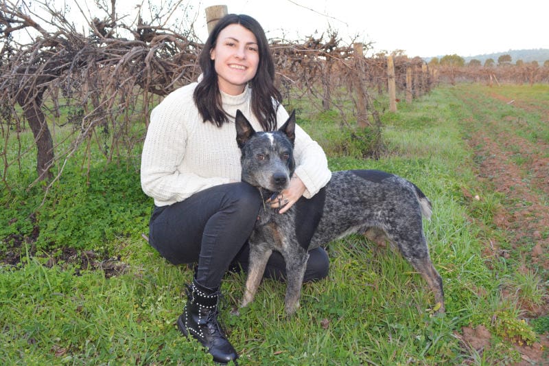 My time as the 2017 Barossa Young Ambassador