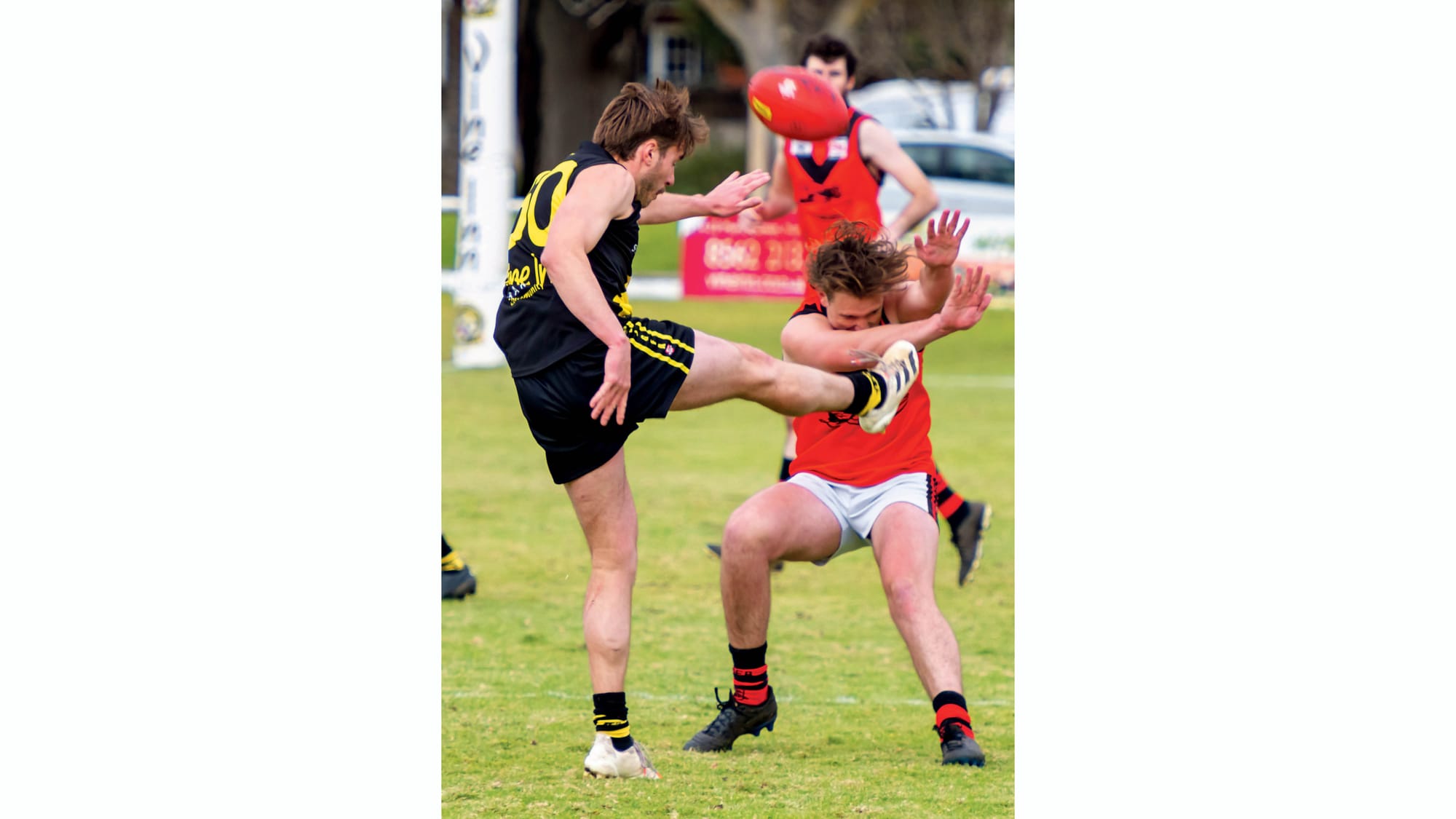 Slick Tigers thump disappointing Bombers