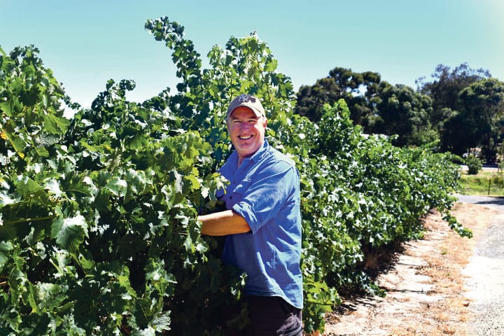 Growers in crisis as grapes left to rot