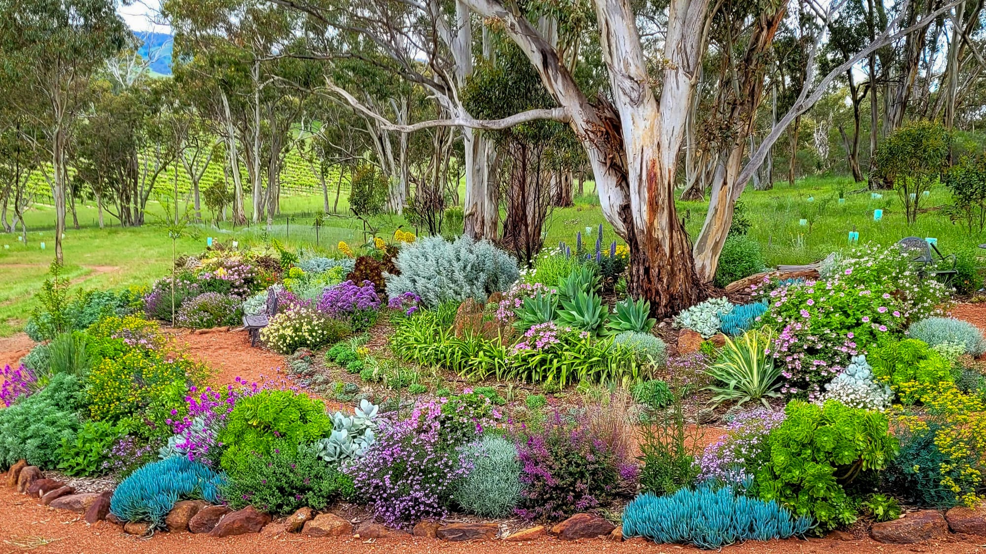 Orcombe Farm at Lyndoch to open
