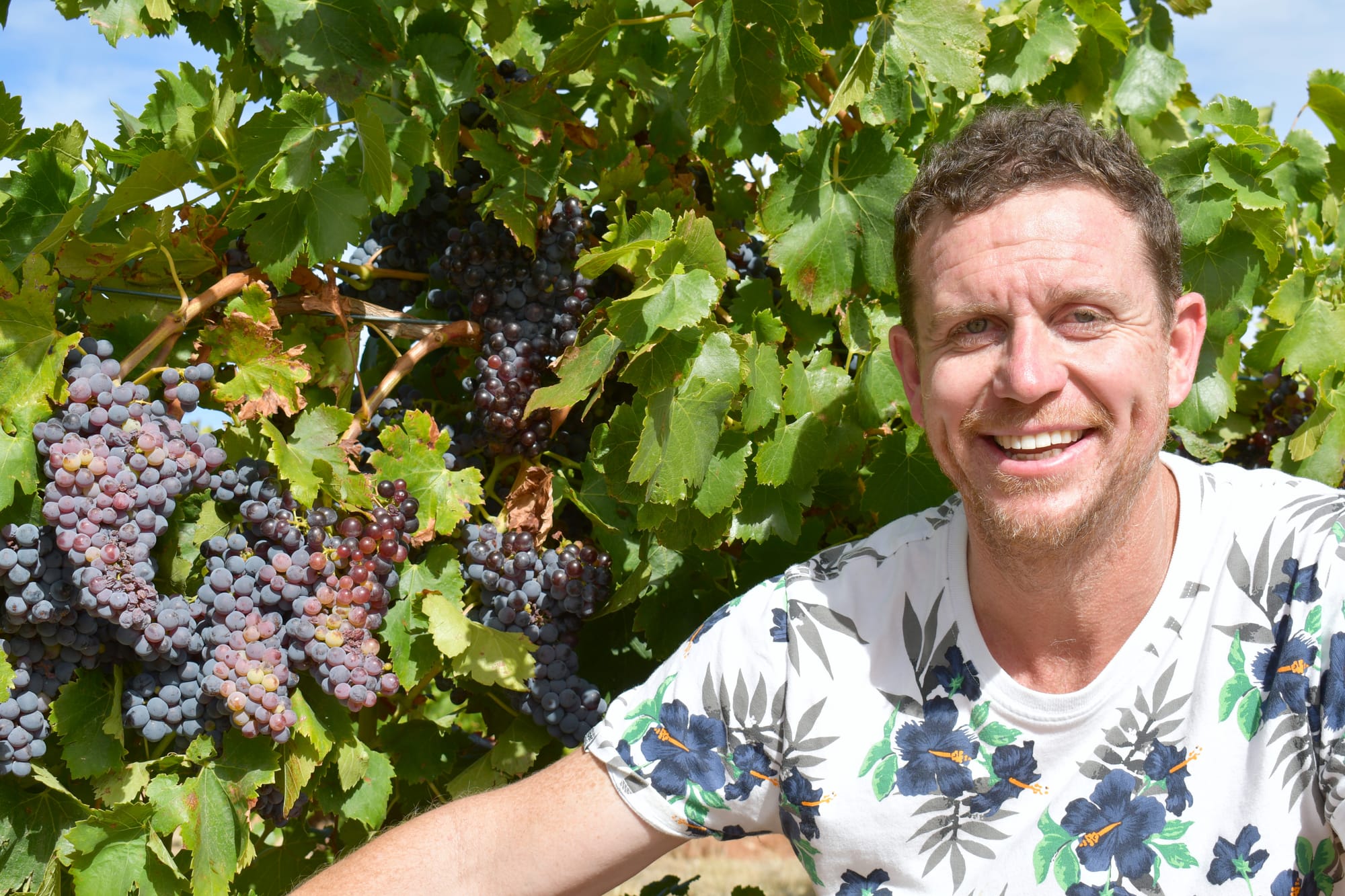 Long season but a great drop