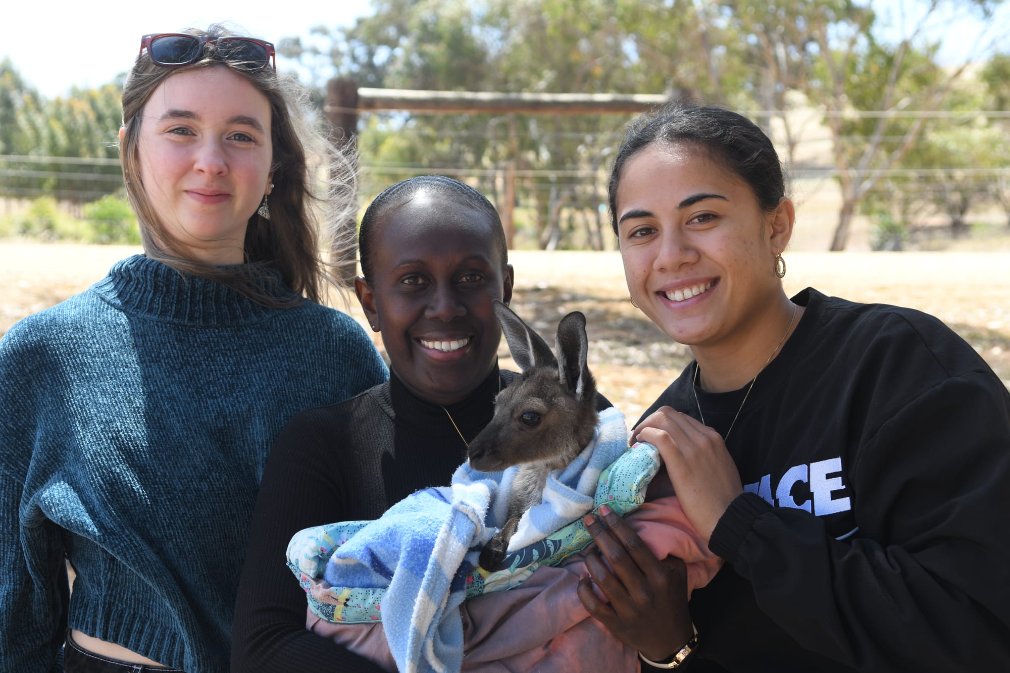 Snakes, a joey, fish and chips and towns ending in ‘da’