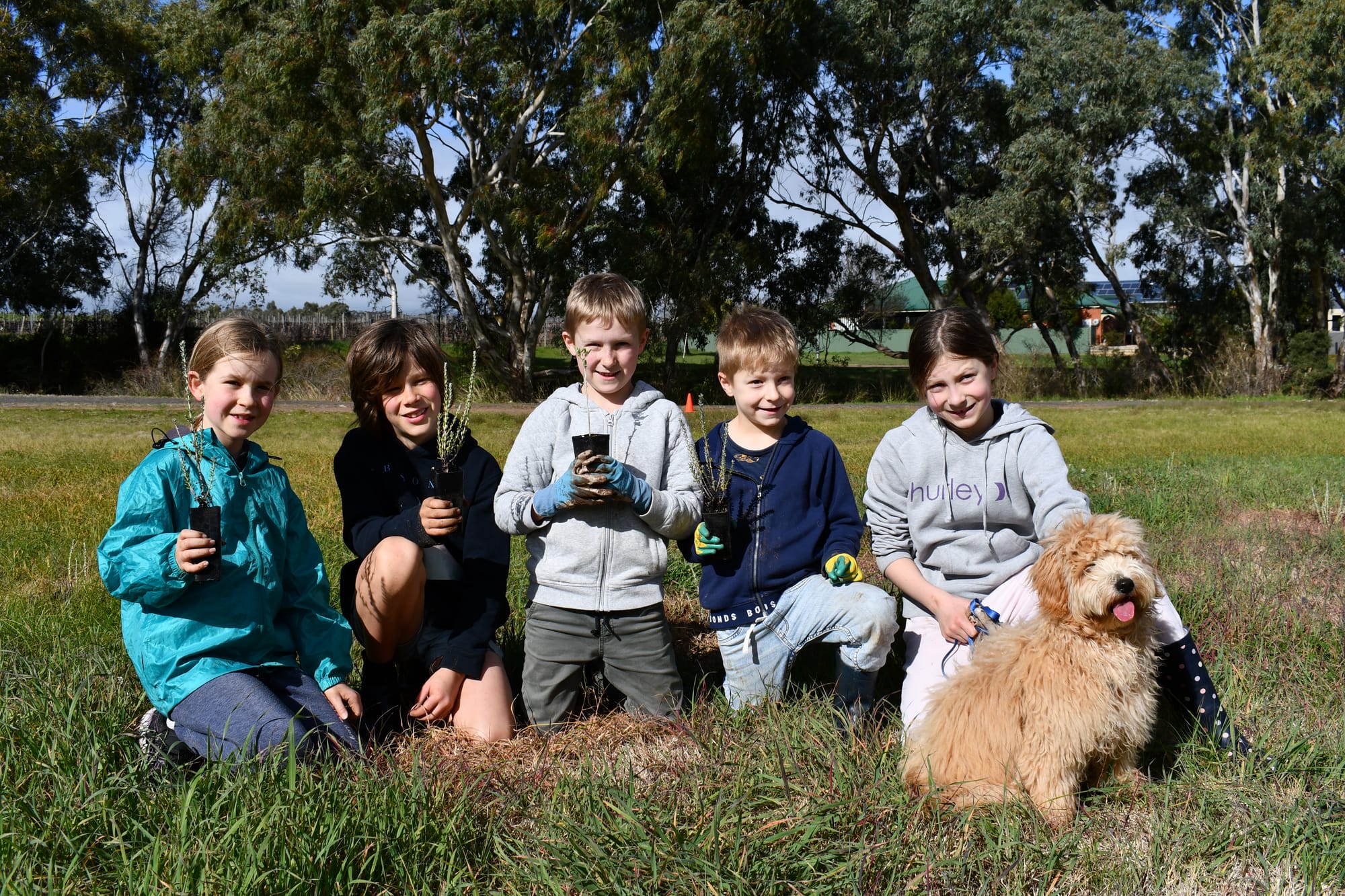 Doing their bit greening Greenock