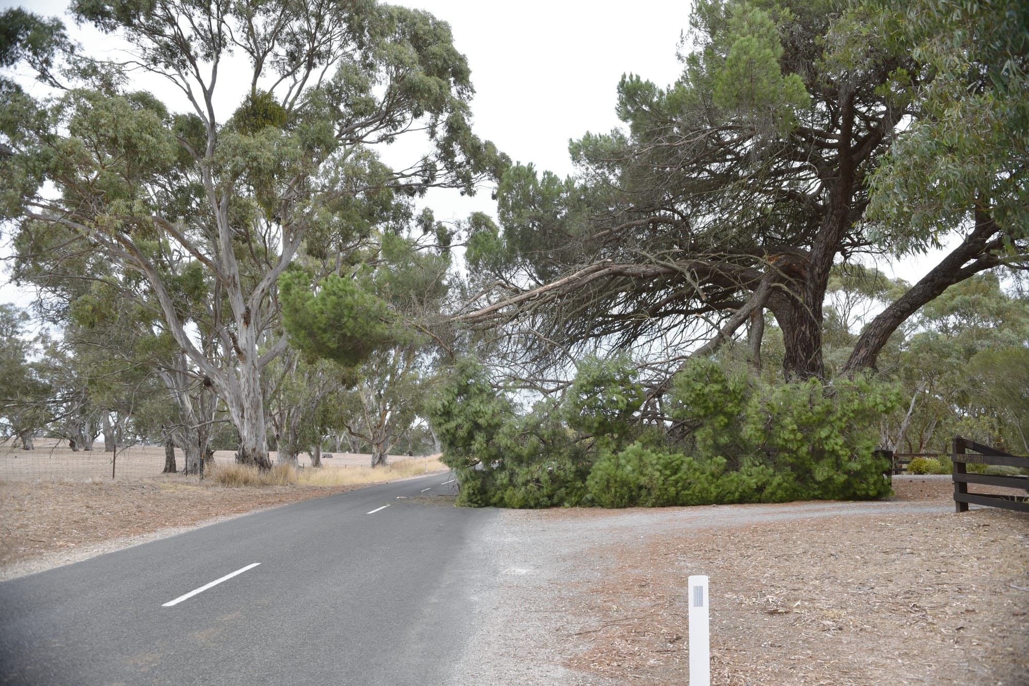Tree down on Flaxmans Valley Road