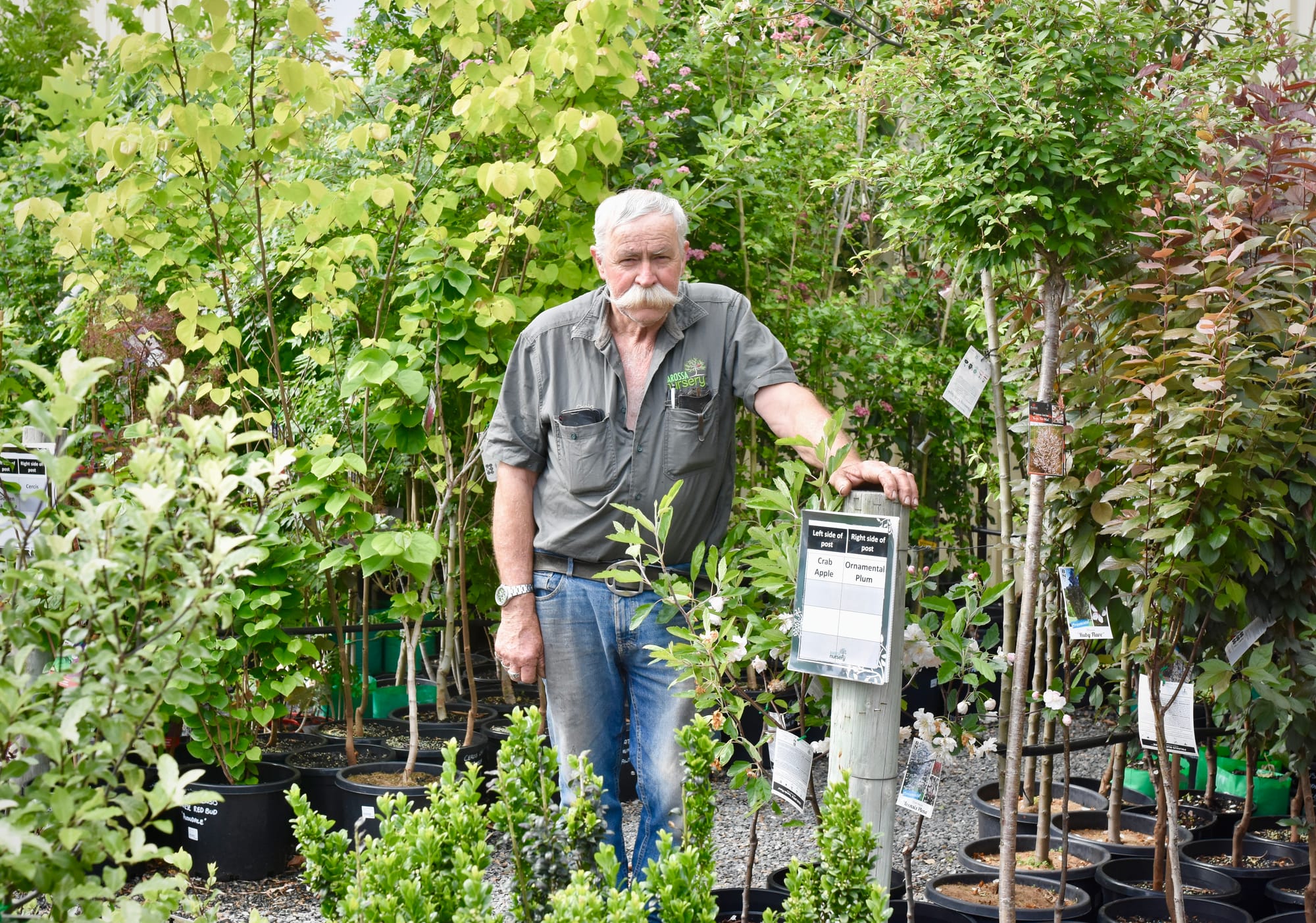 Craig pulls off his gardening boots after 18 years at Barossa Nursery