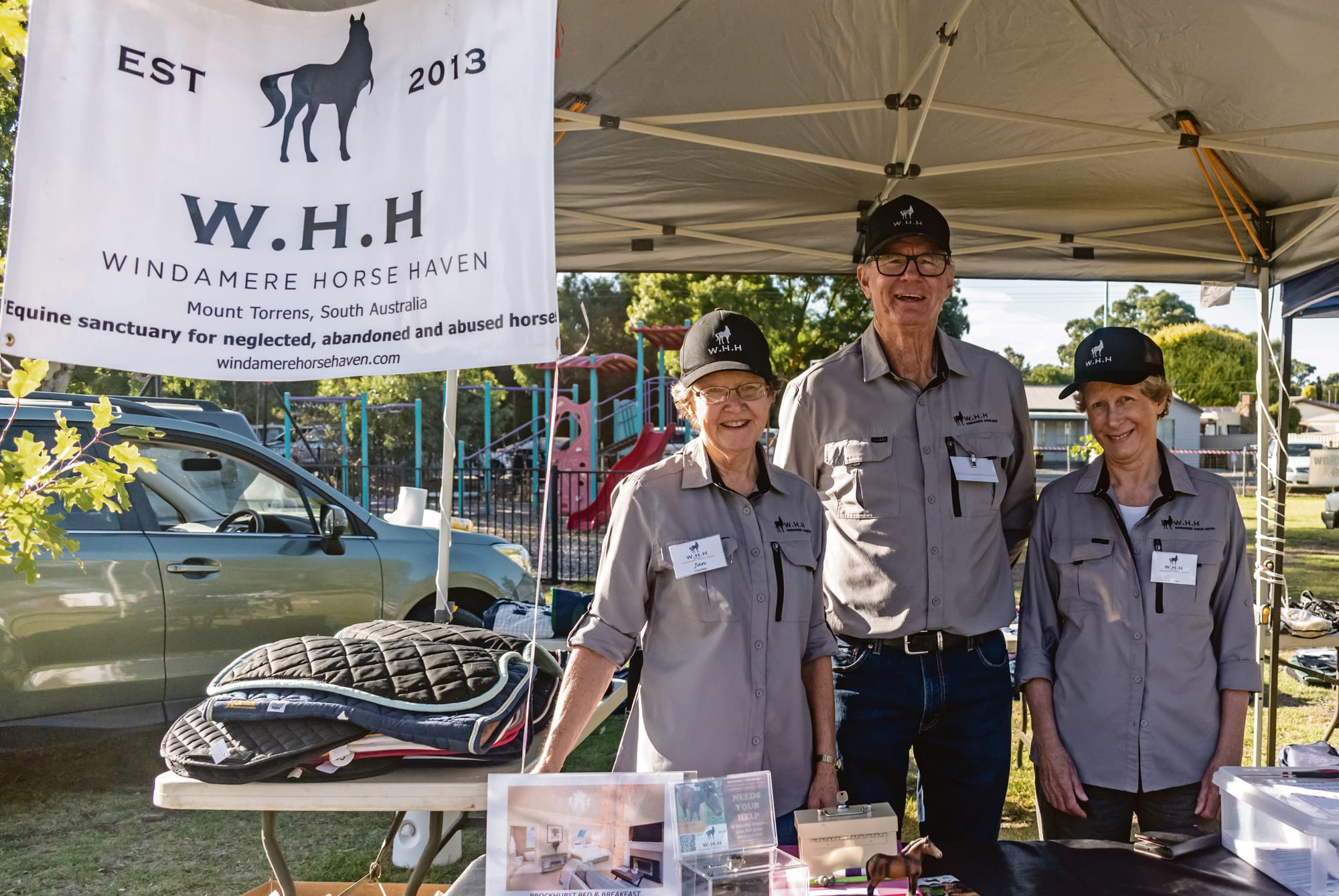 Windamere saving one horse at a time