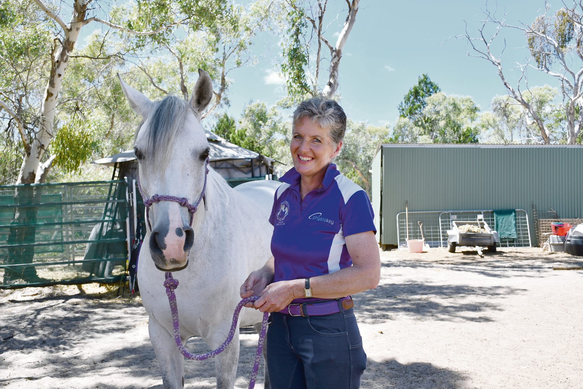 The soothing balm of equine interaction