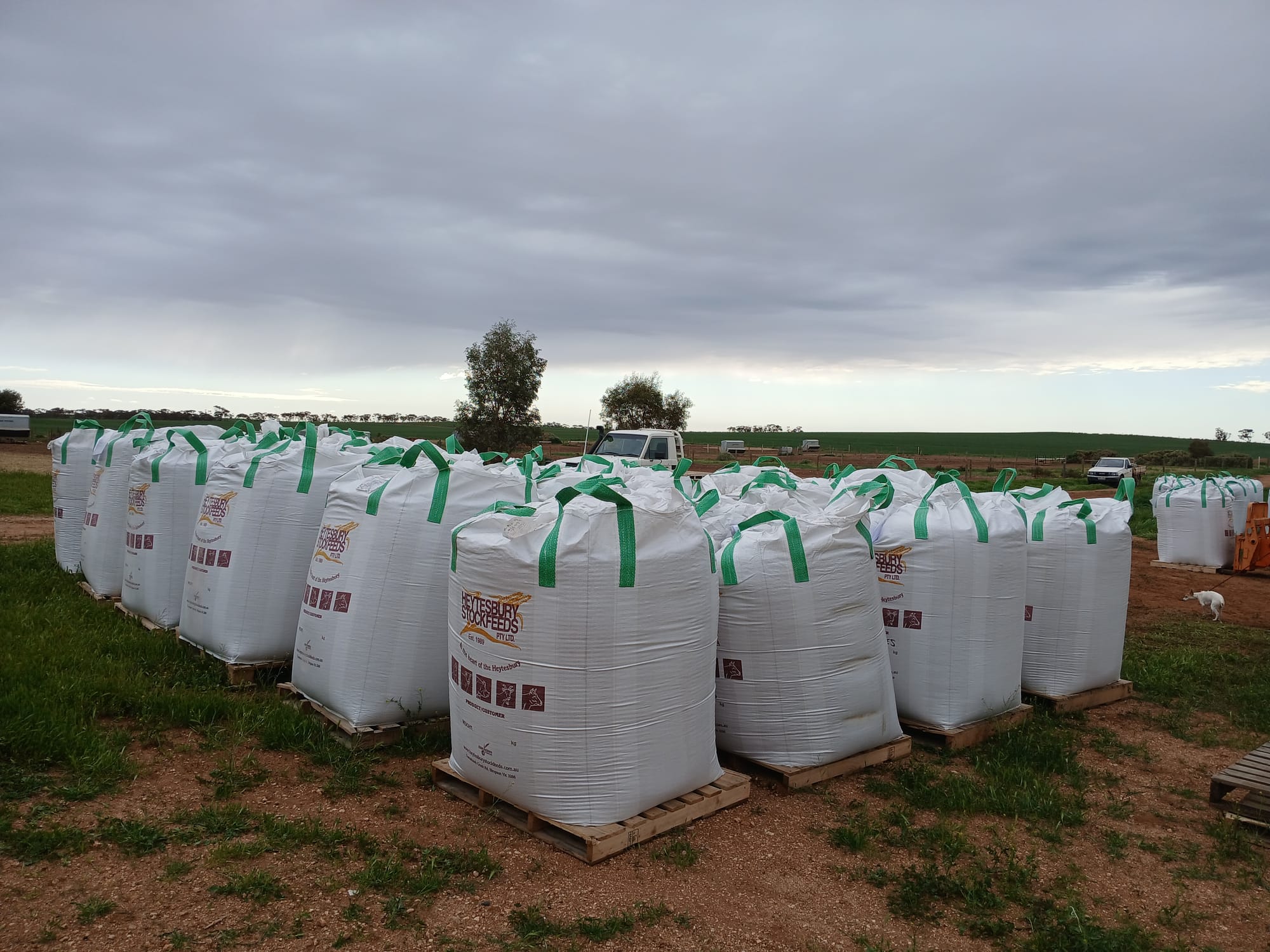 Mannum Lions $30,000 gift to drought affected farmers