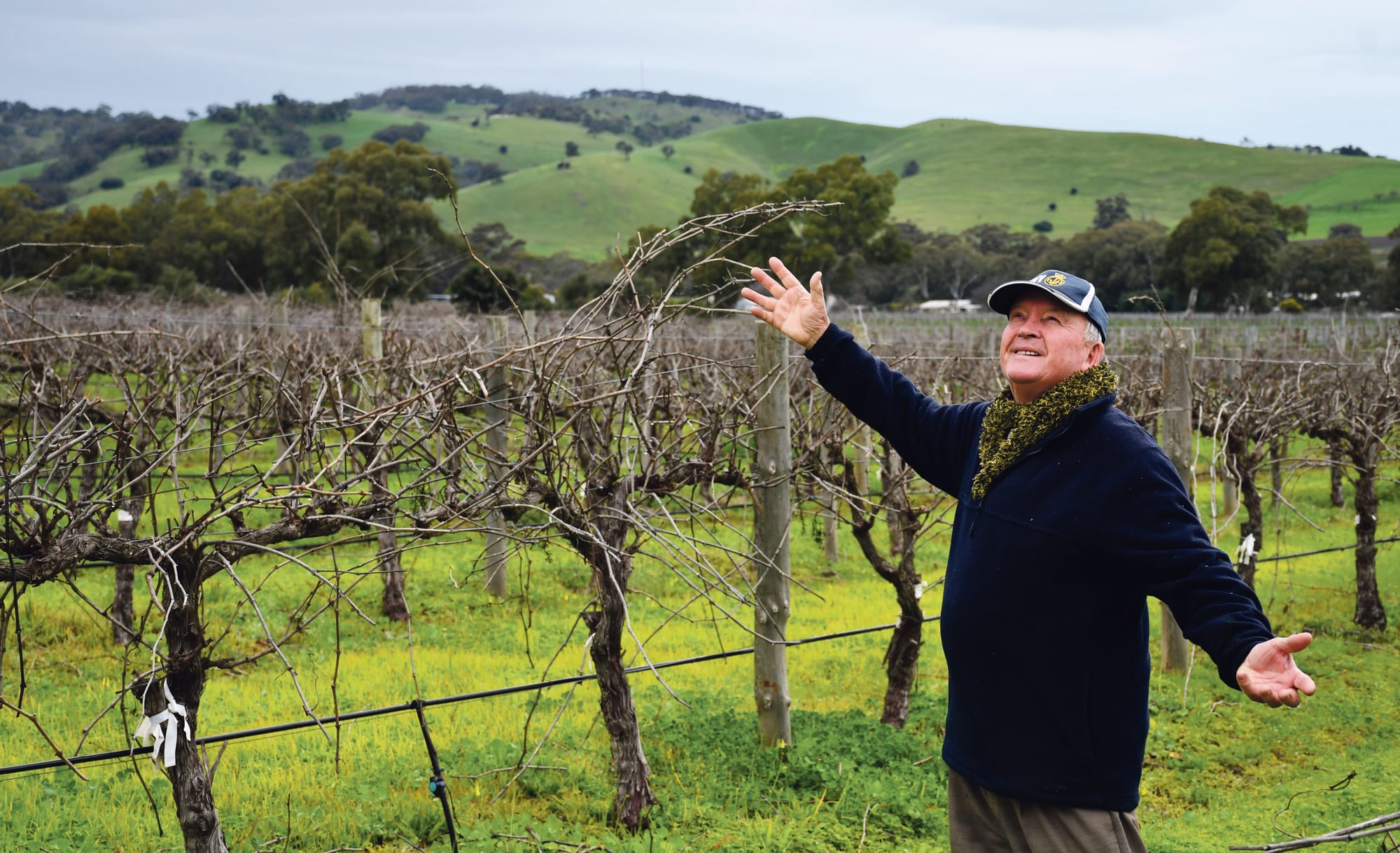 Less yearly rainfall in the Barossa