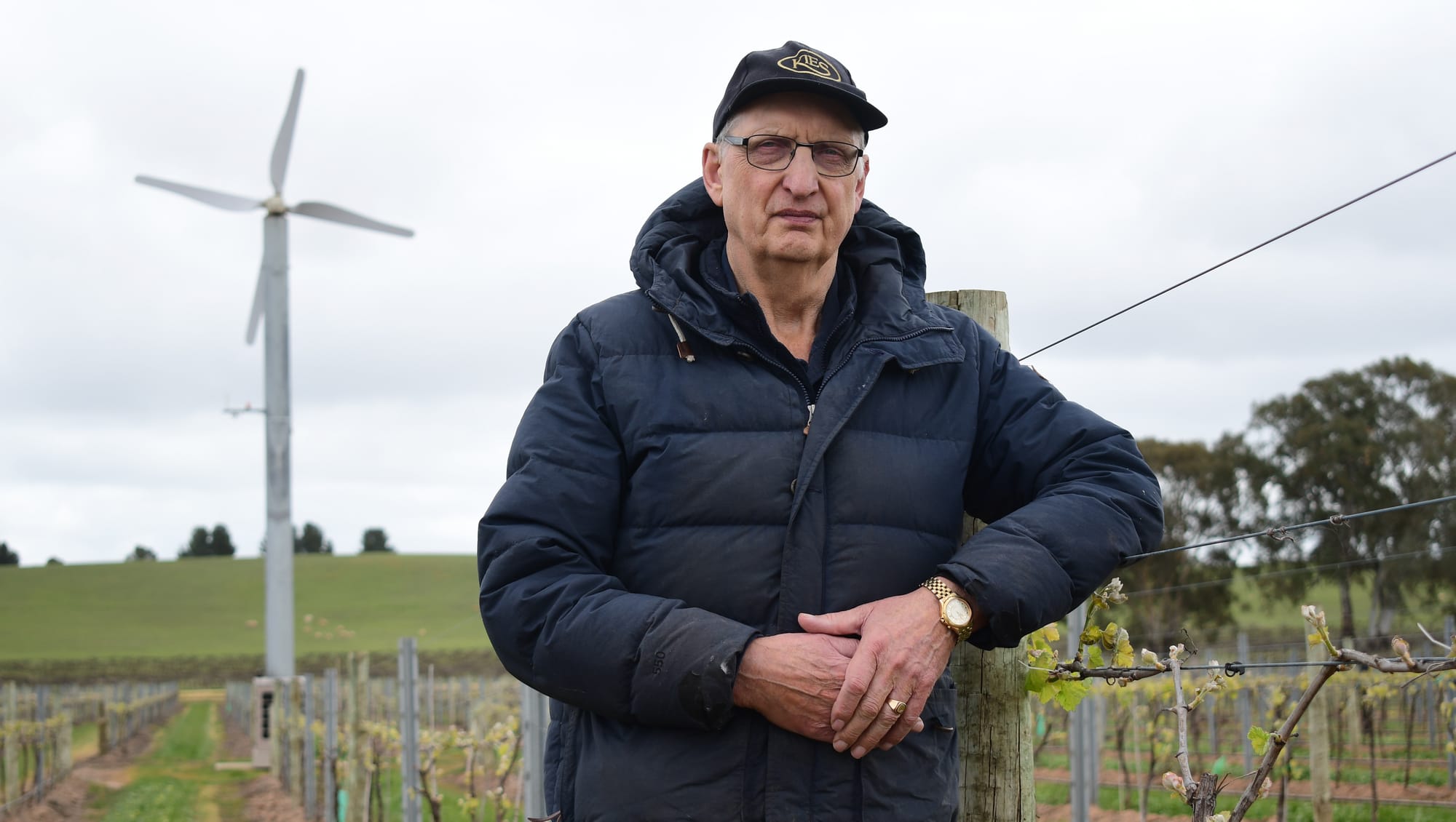 Frost bites Barossa grape growers