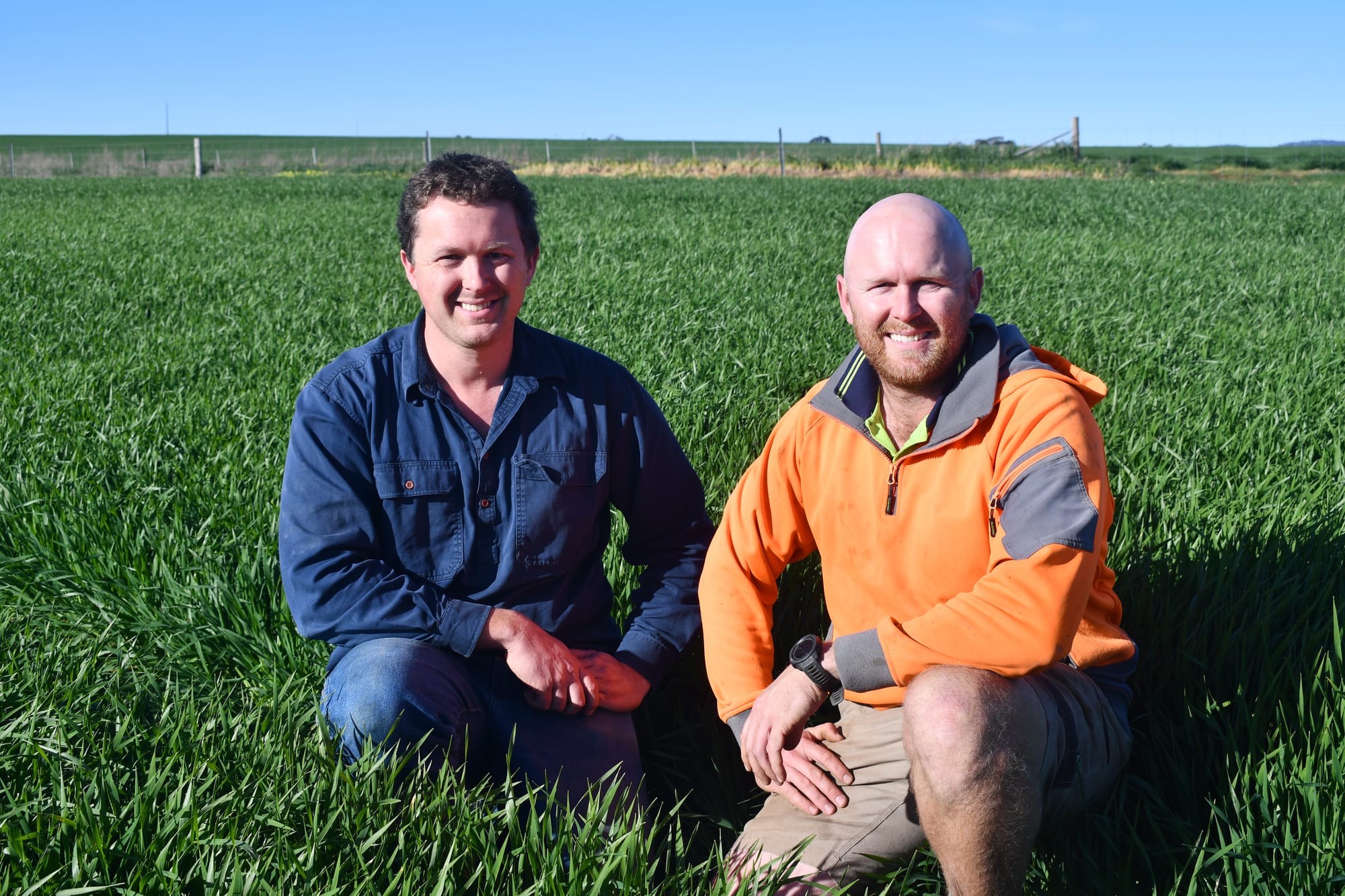 Lifting of tariffs means a good appetite for Australian barley